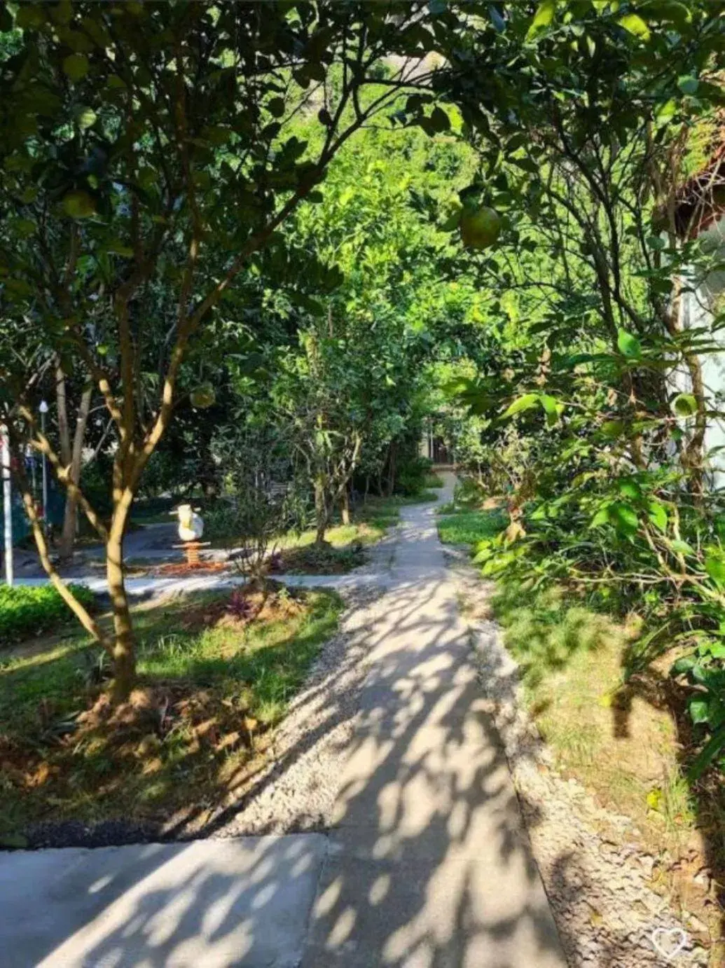 Garden view in Trang An Retreat Garden view in Trang An Retreat