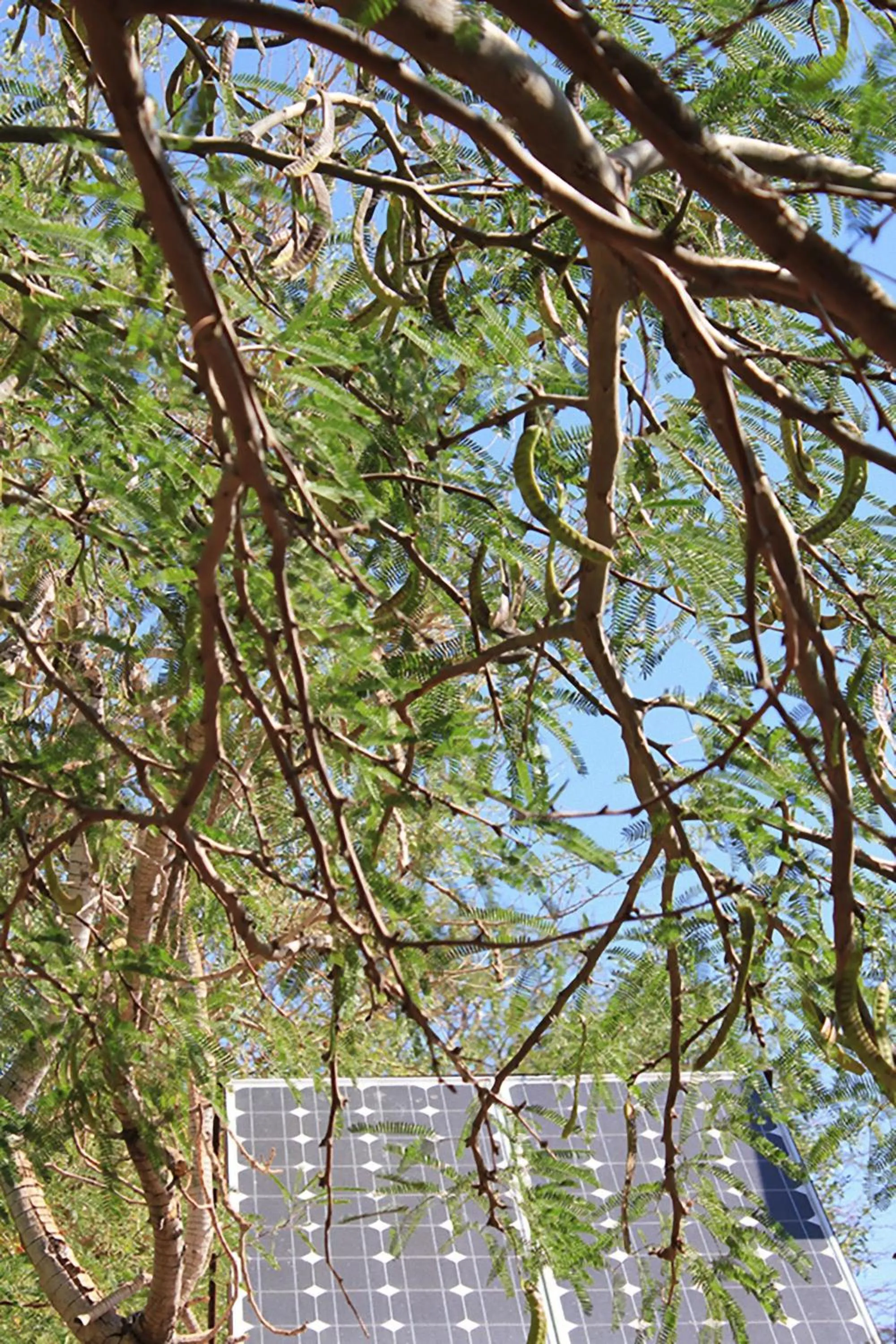 Day in Hotel Jardin Atacama