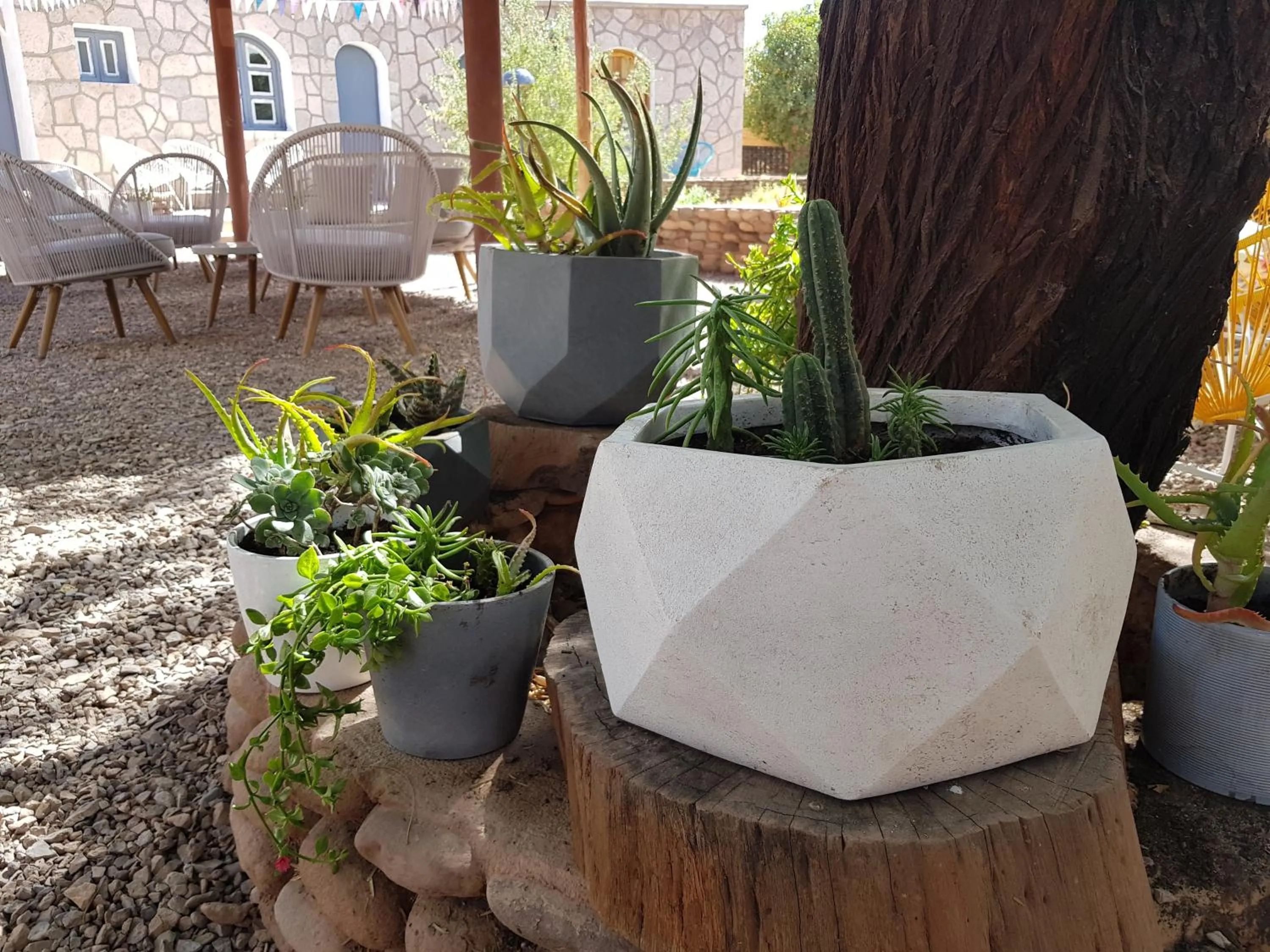 Balcony/Terrace in Hotel Jardin Atacama
