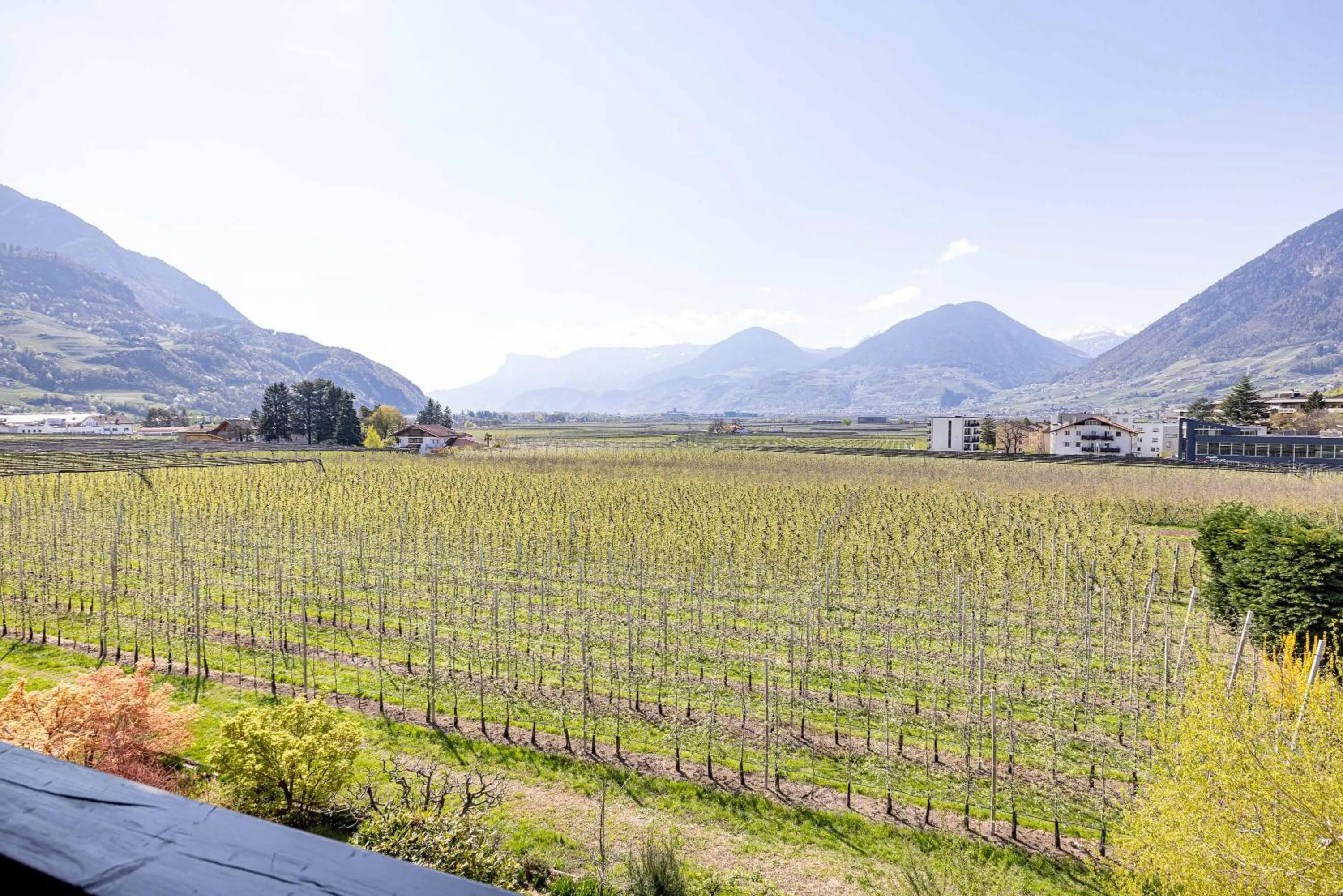 Natural landscape in Residence Pollingerhof