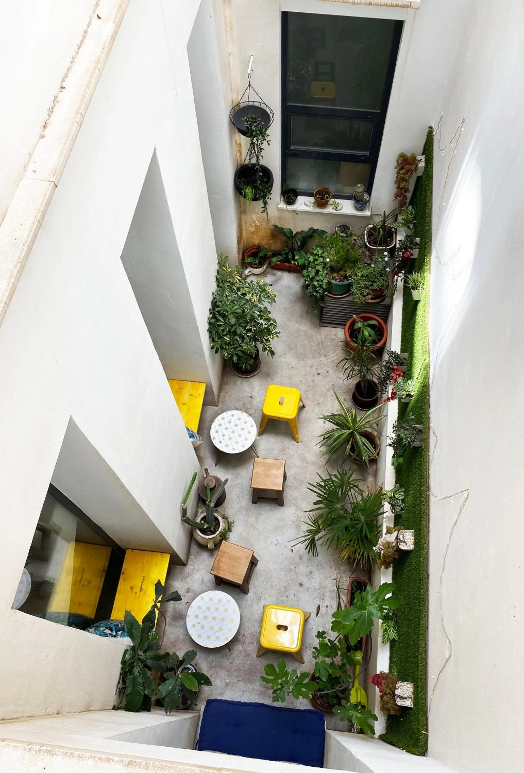 Garden view in ECO Hostel