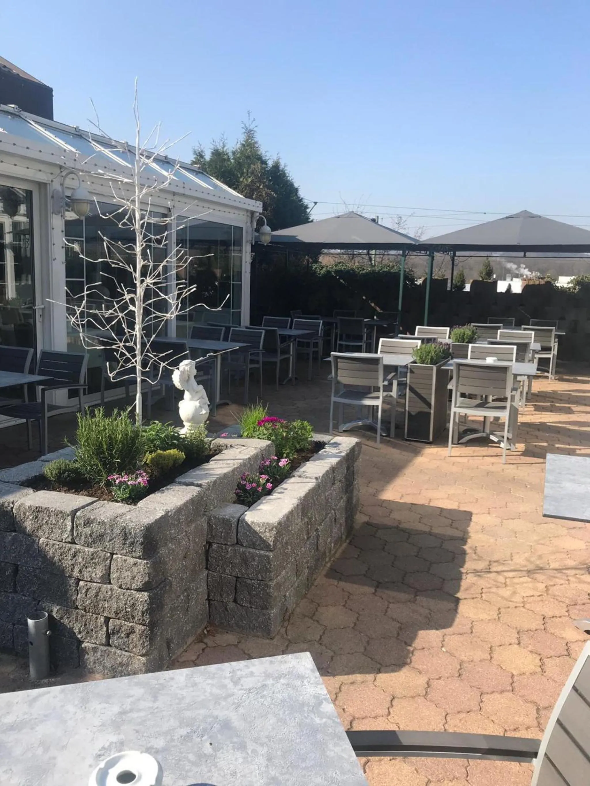 Restaurant/places to eat in Hotel Angelo