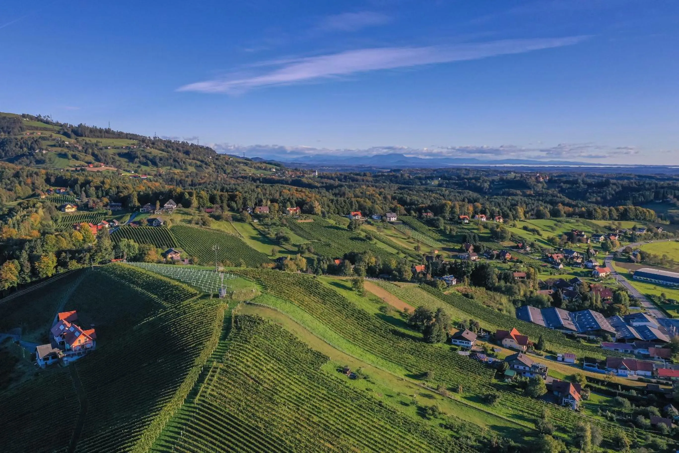 Property building in Hotel Restaurant zum Schwan