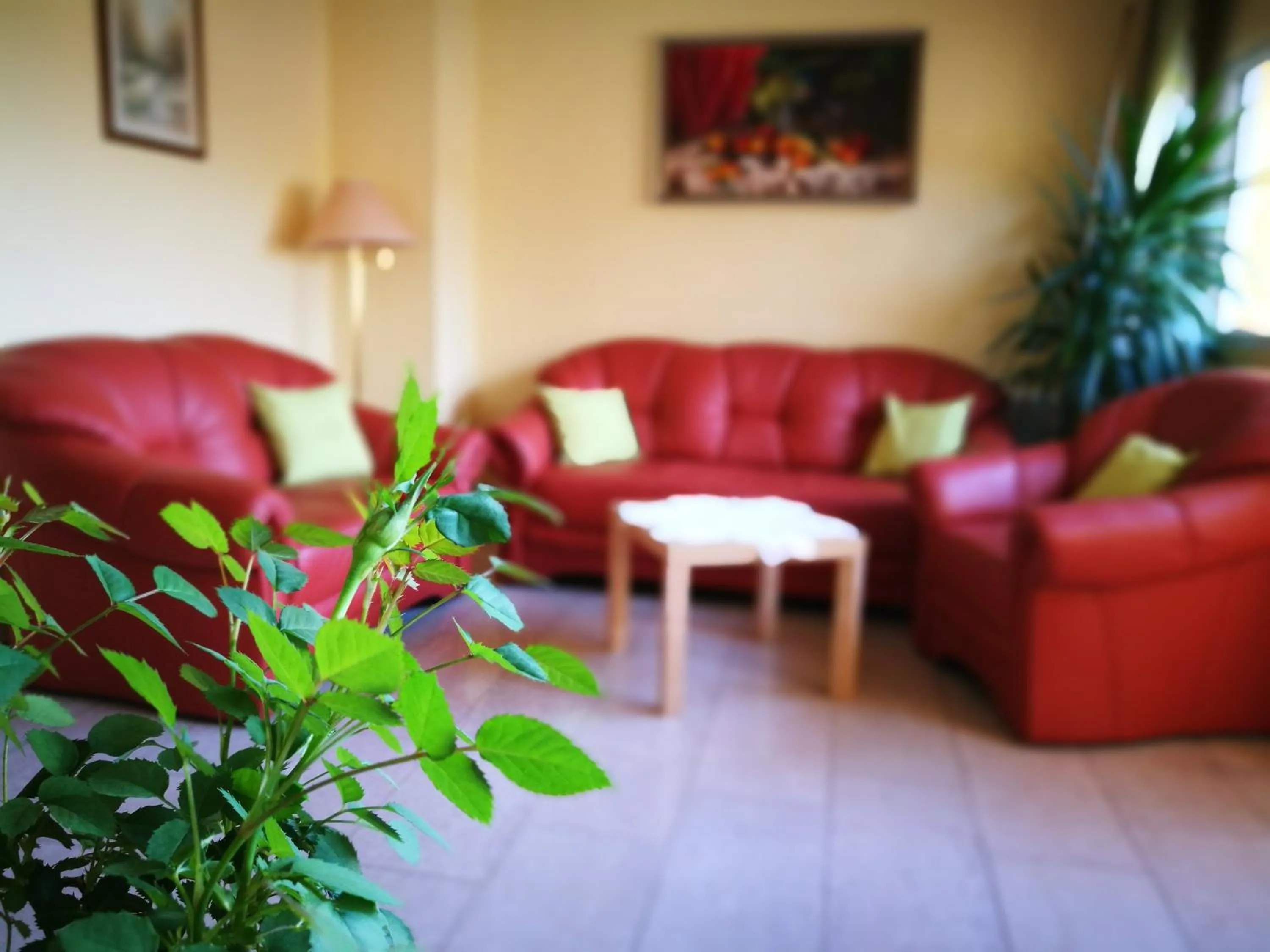 Communal lounge/ TV room in Hotel Restaurant zum Schwan