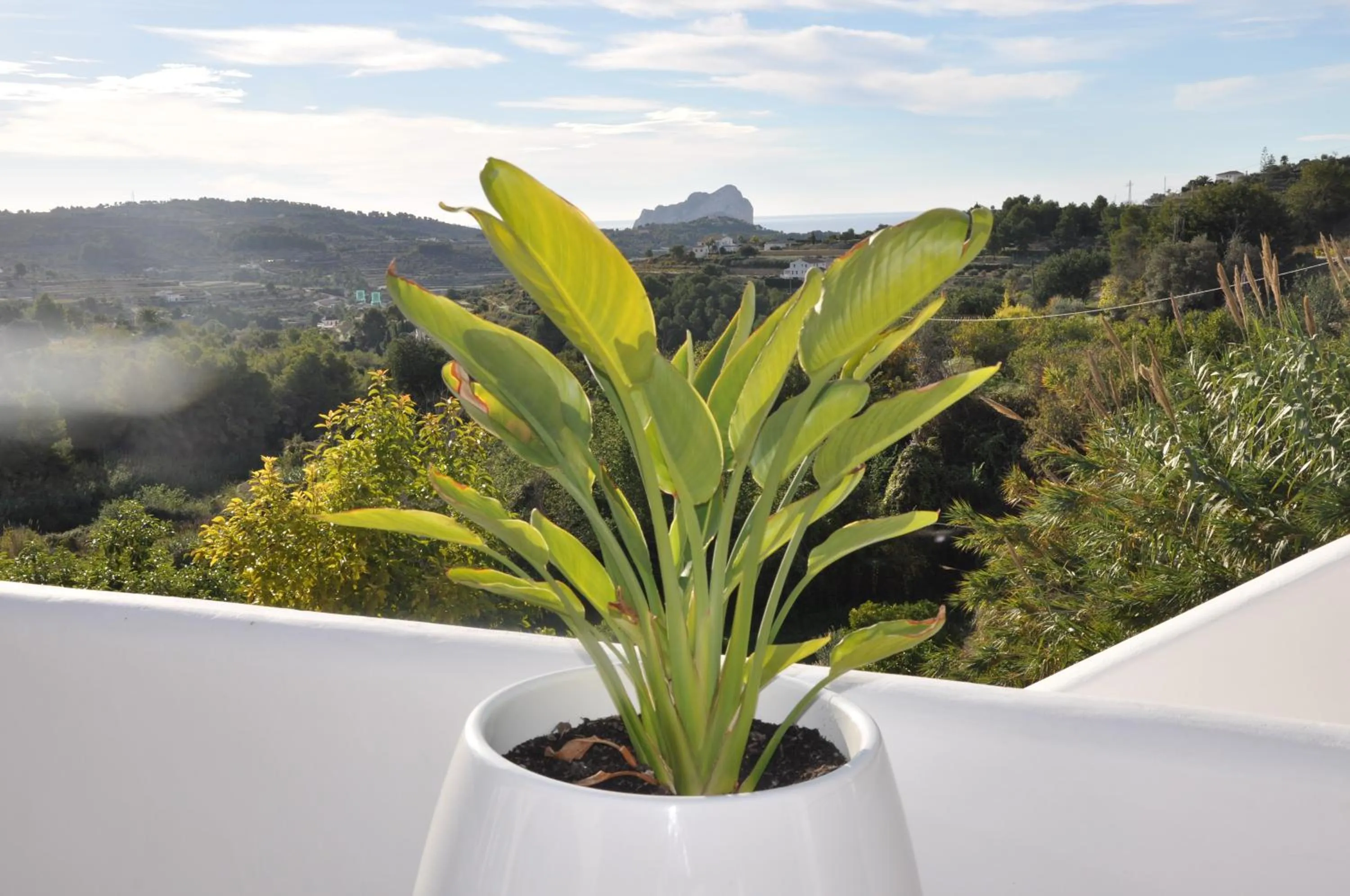 Abeniss Boutique B&B