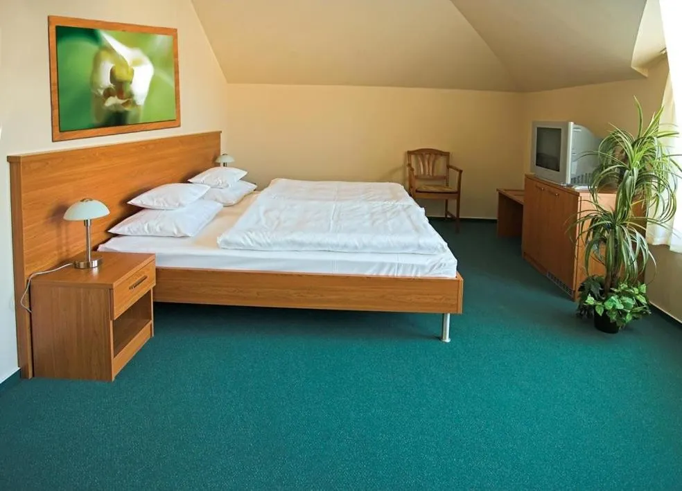 Photo of the whole room, Bed in Promedicum Panzio
