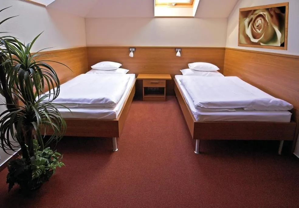 Photo of the whole room, Bed in Promedicum Panzio