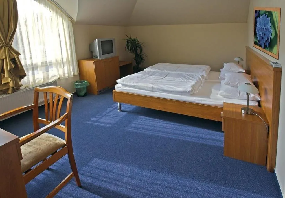 Day, Bed in Promedicum Panzio
