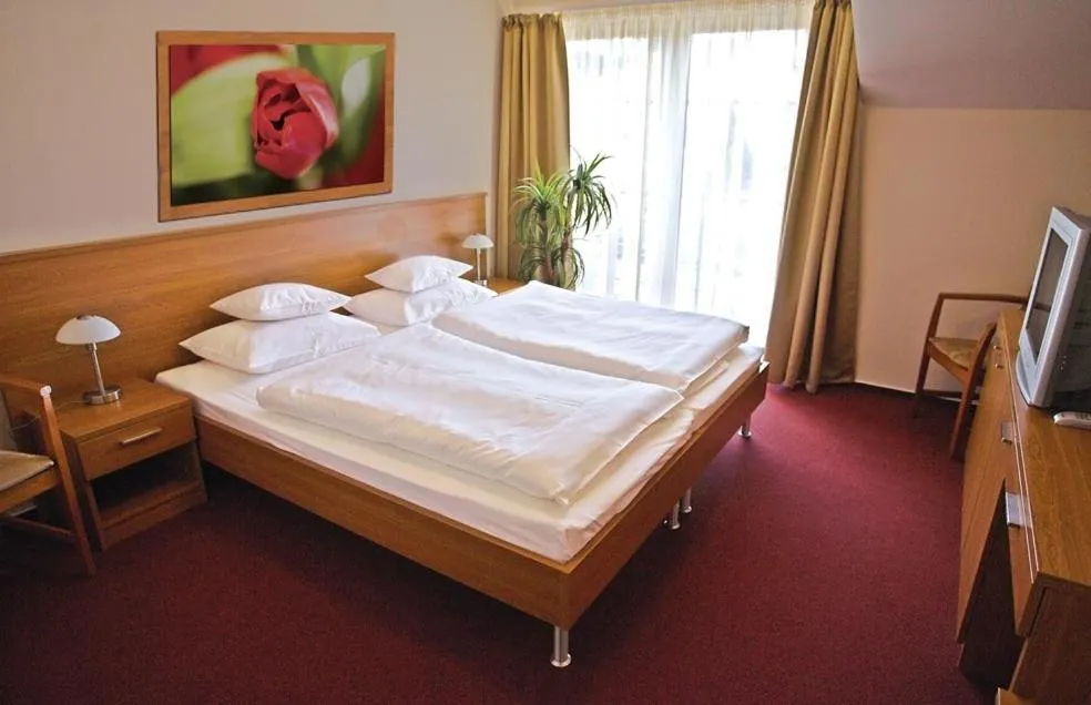 Day, Bed in Promedicum Panzio