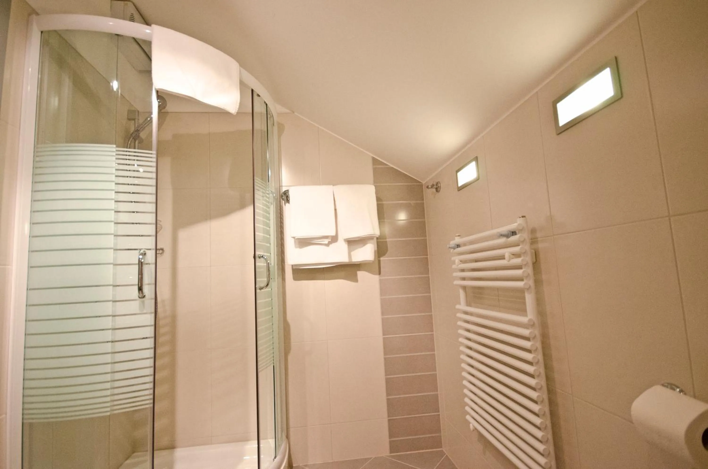 Shower in Promedicum Panzio