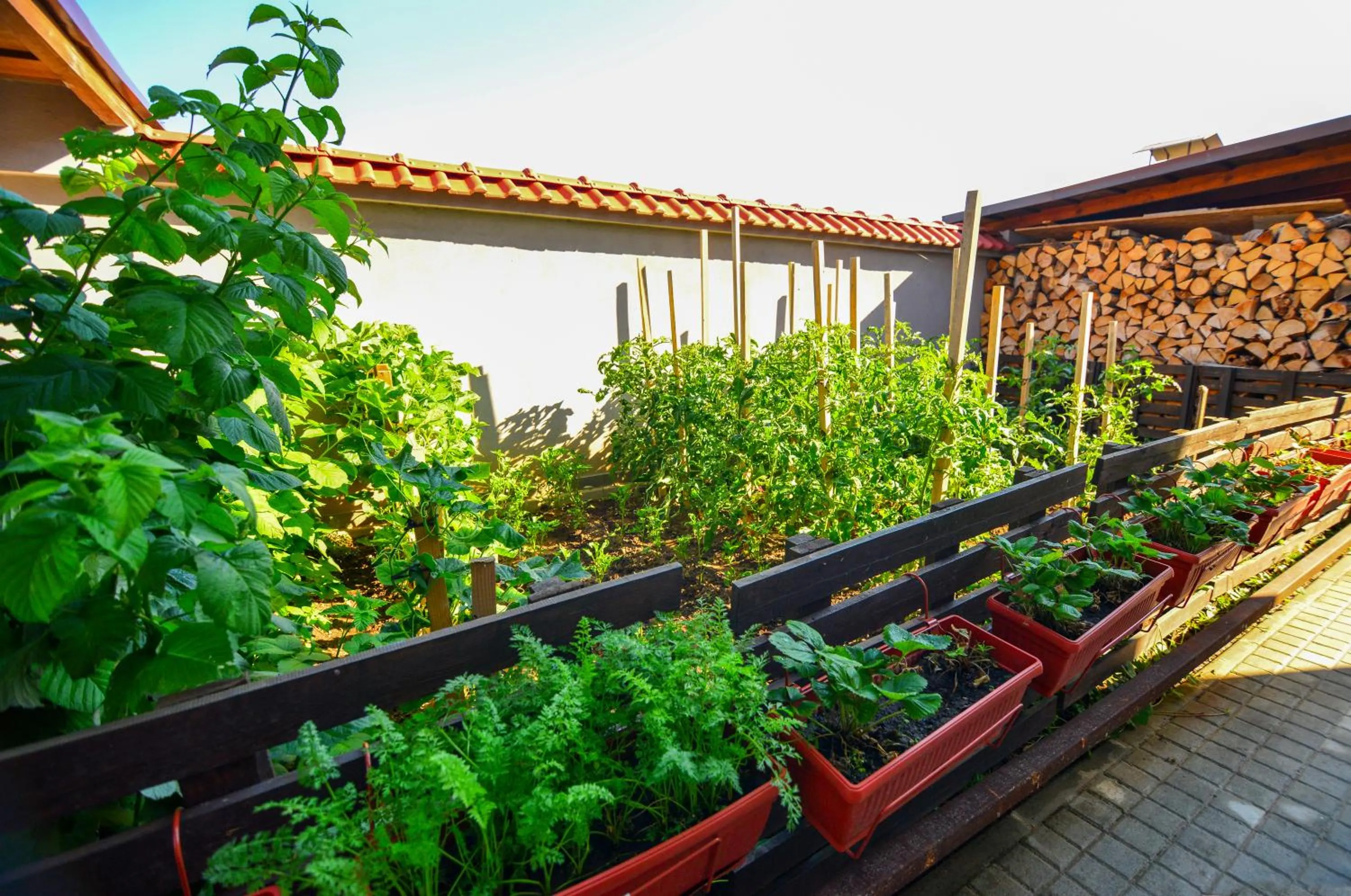 Garden in KATERINA guest house