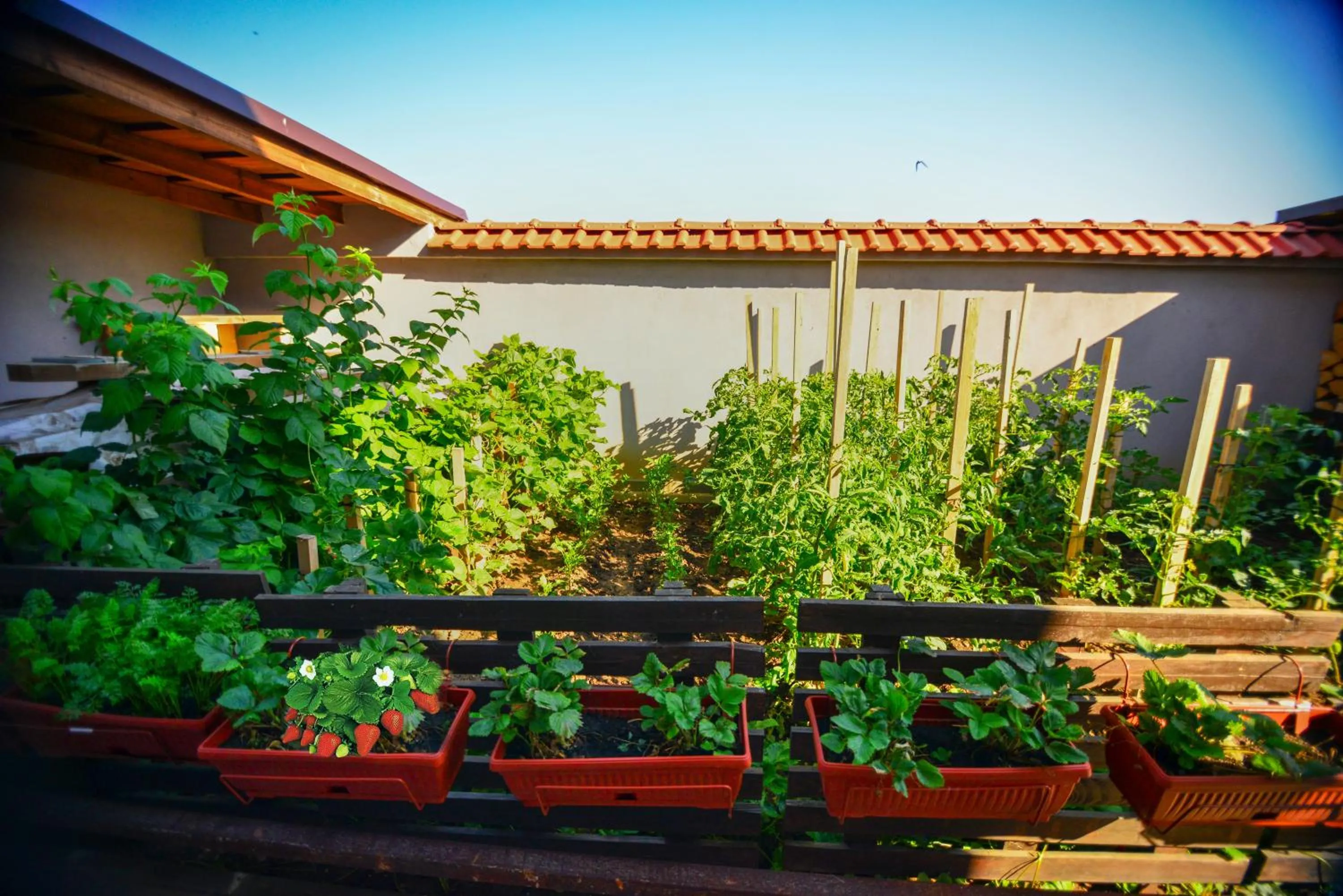 Garden in KATERINA guest house