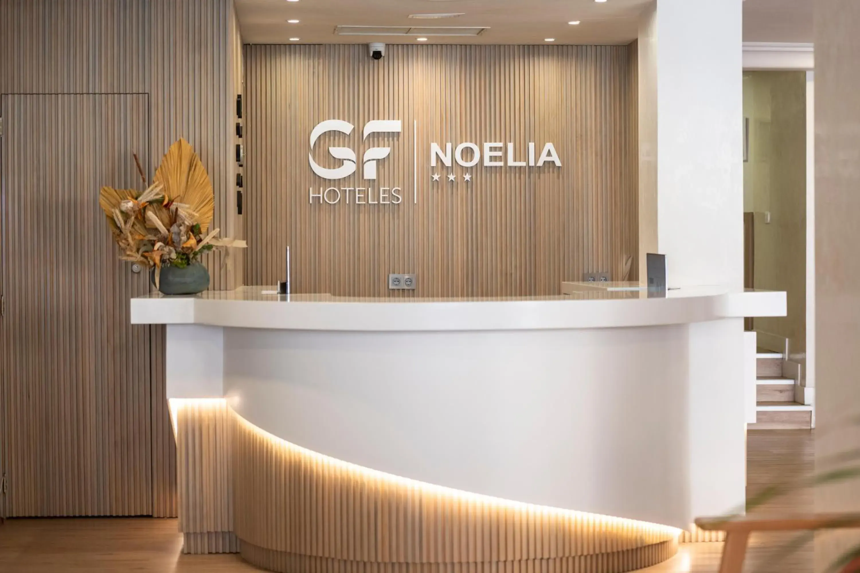 Lobby or reception in GF Noelia Lobby or reception in GF Noelia
