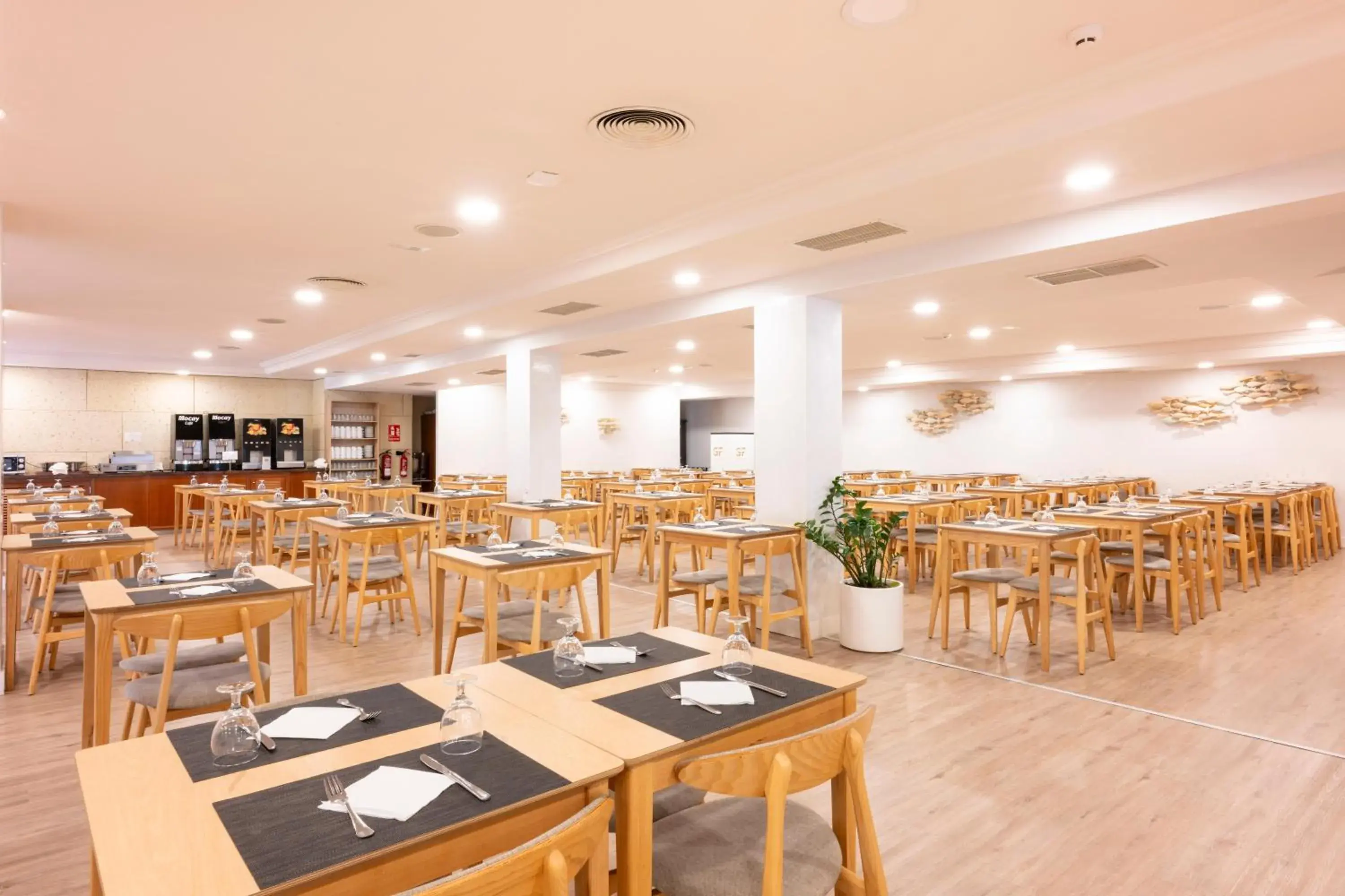 Restaurant/places to eat in GF Noelia Restaurant/places to eat in GF Noelia