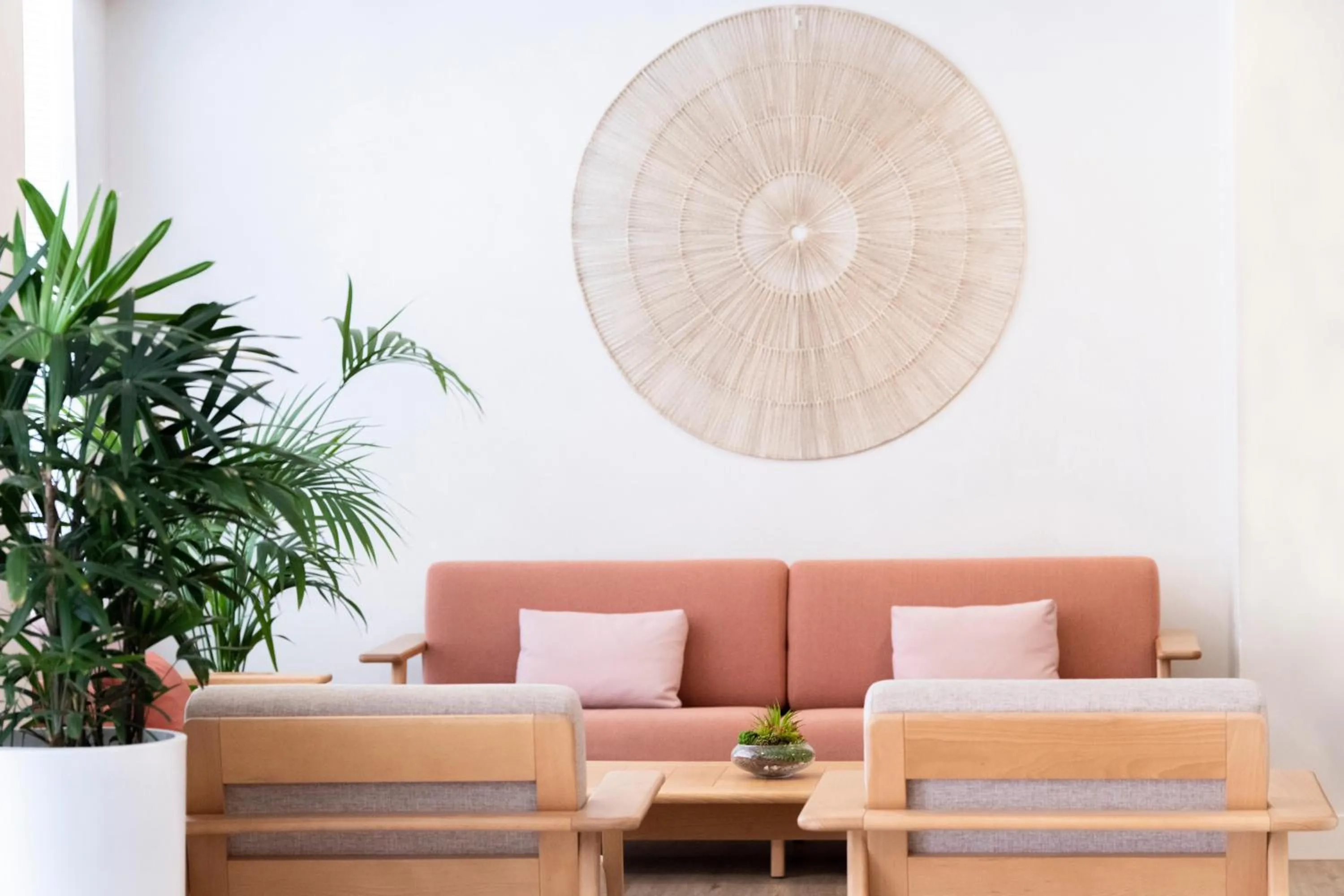 Area and facilities in GF Noelia