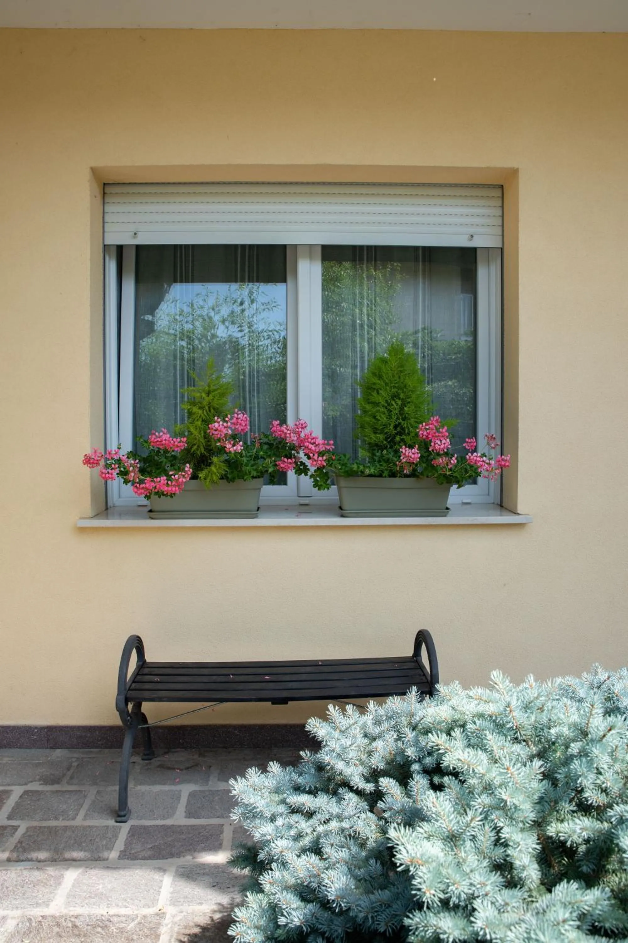 Facade/entrance in B&B BrentaGiardino