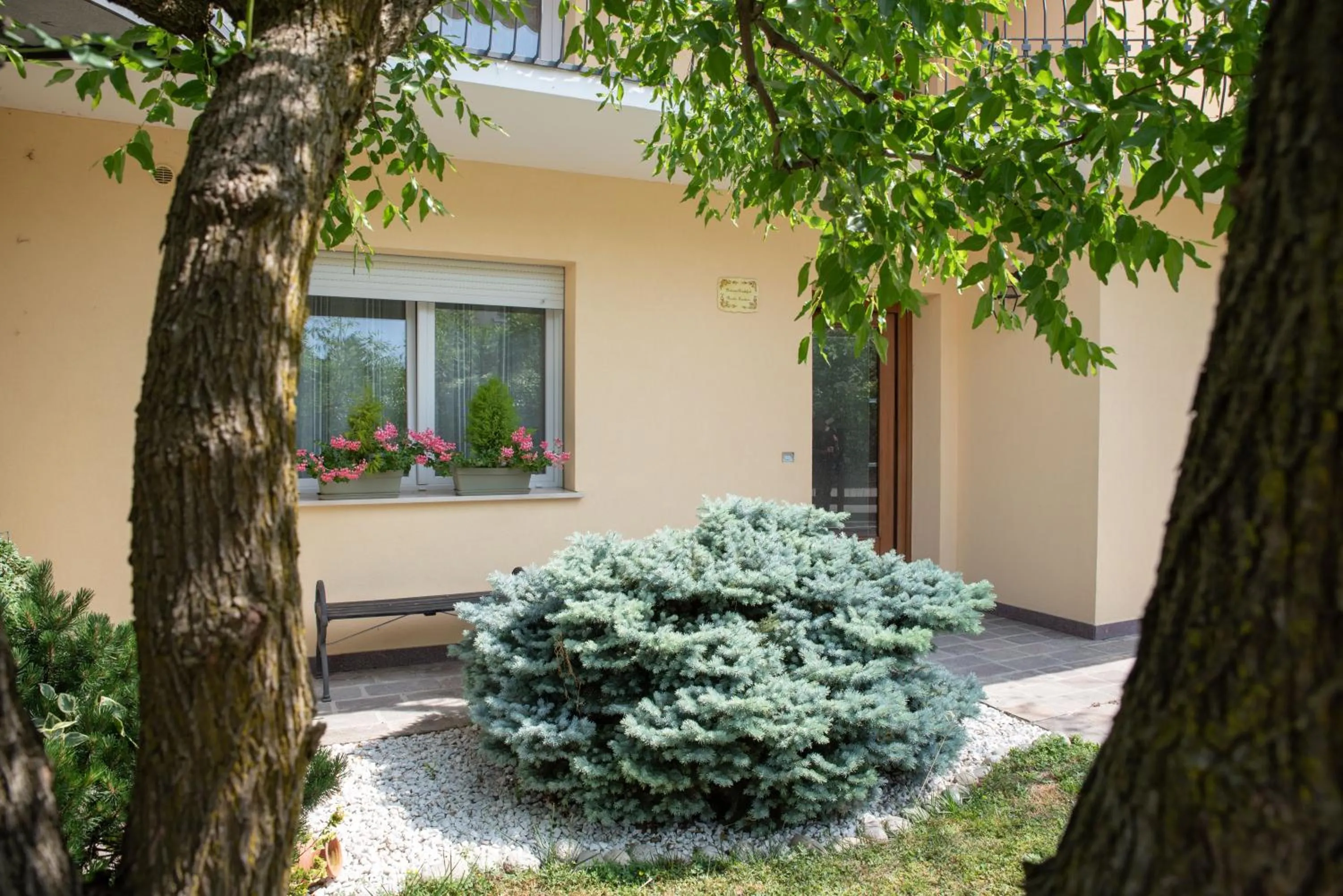 Facade/entrance in B&B BrentaGiardino