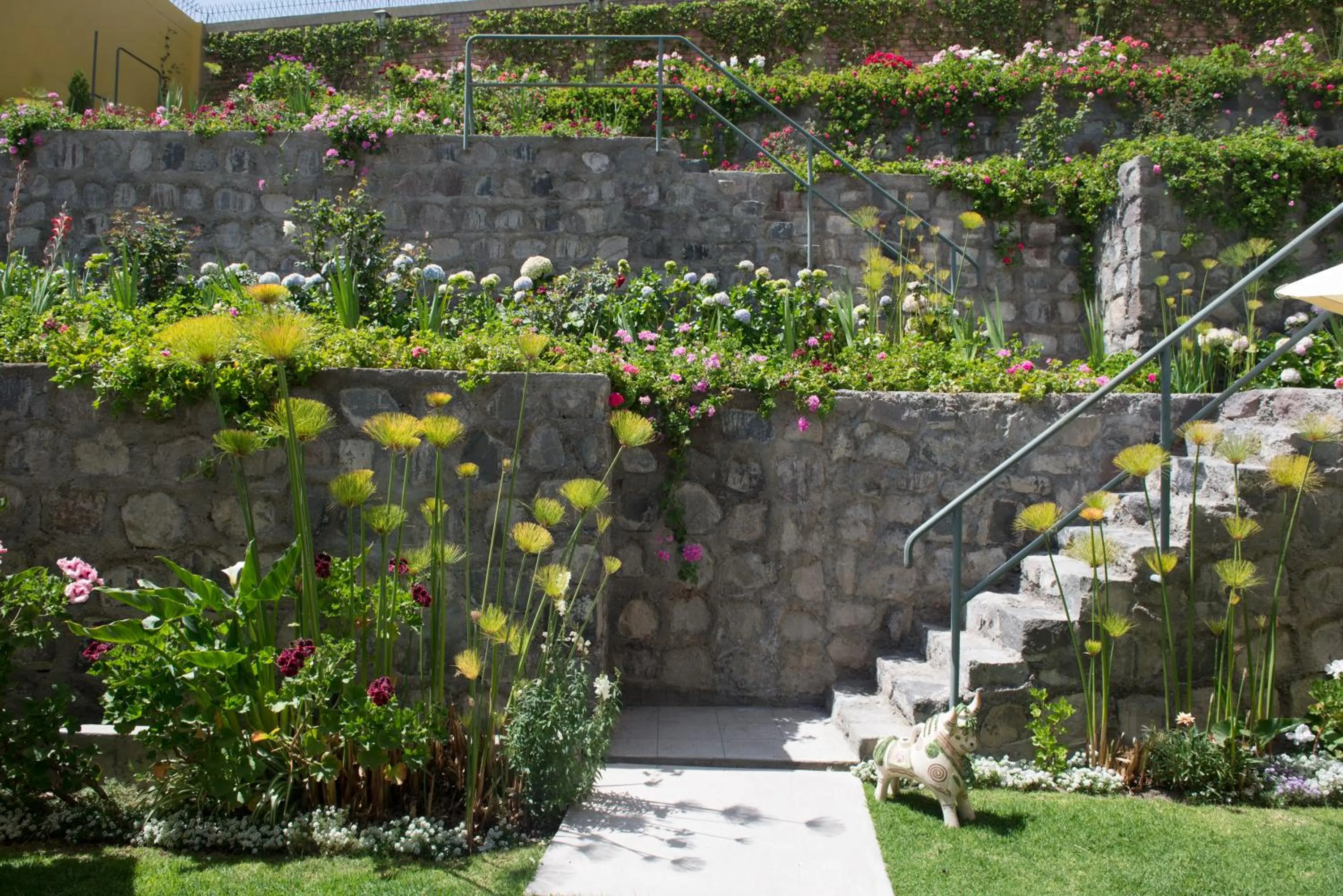 Garden in El Cabildo Hotel