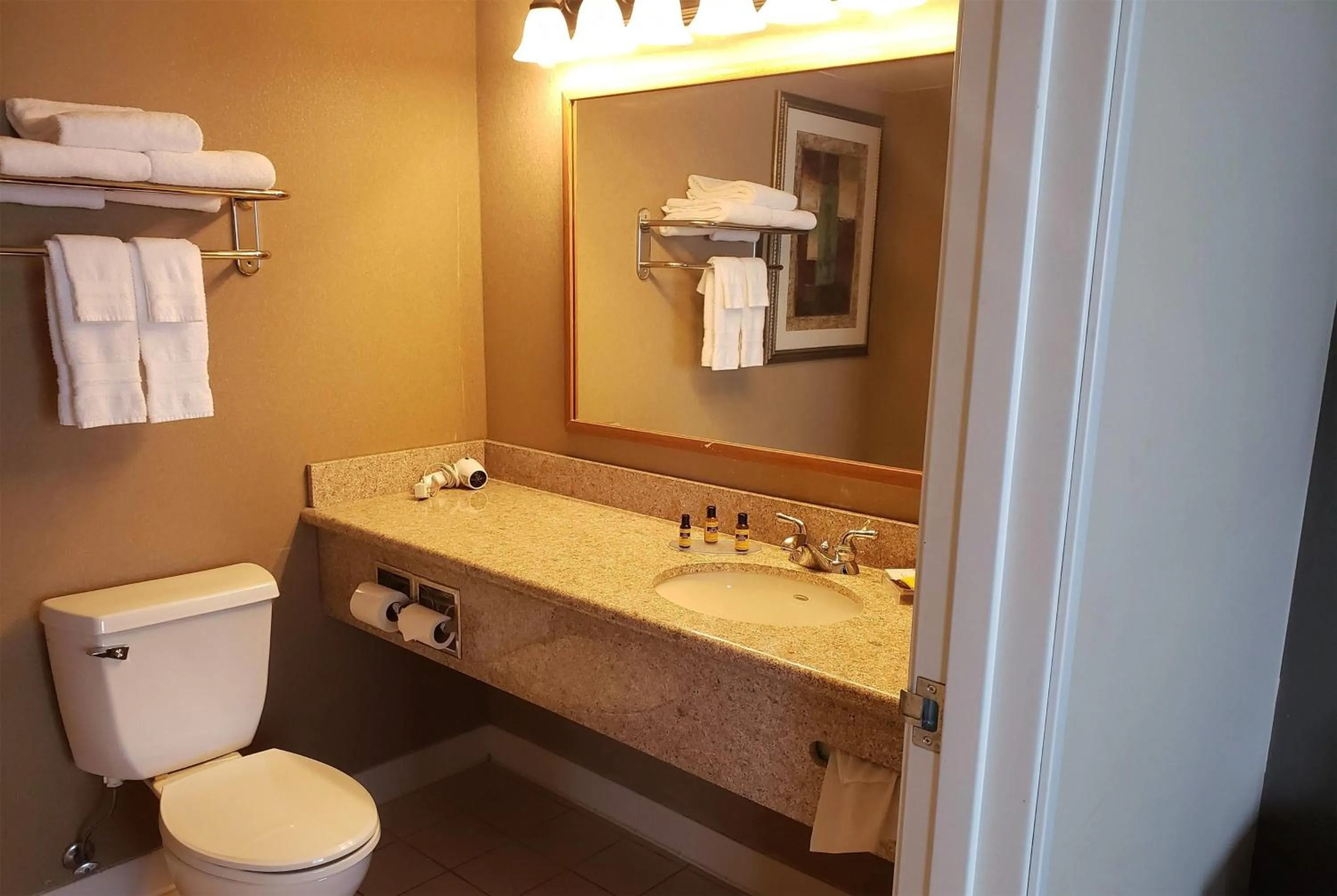 Bathroom in Wingate by Wyndham Coon Rapids
