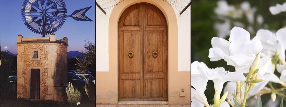 Day in Agroturismo Finca Son Amora