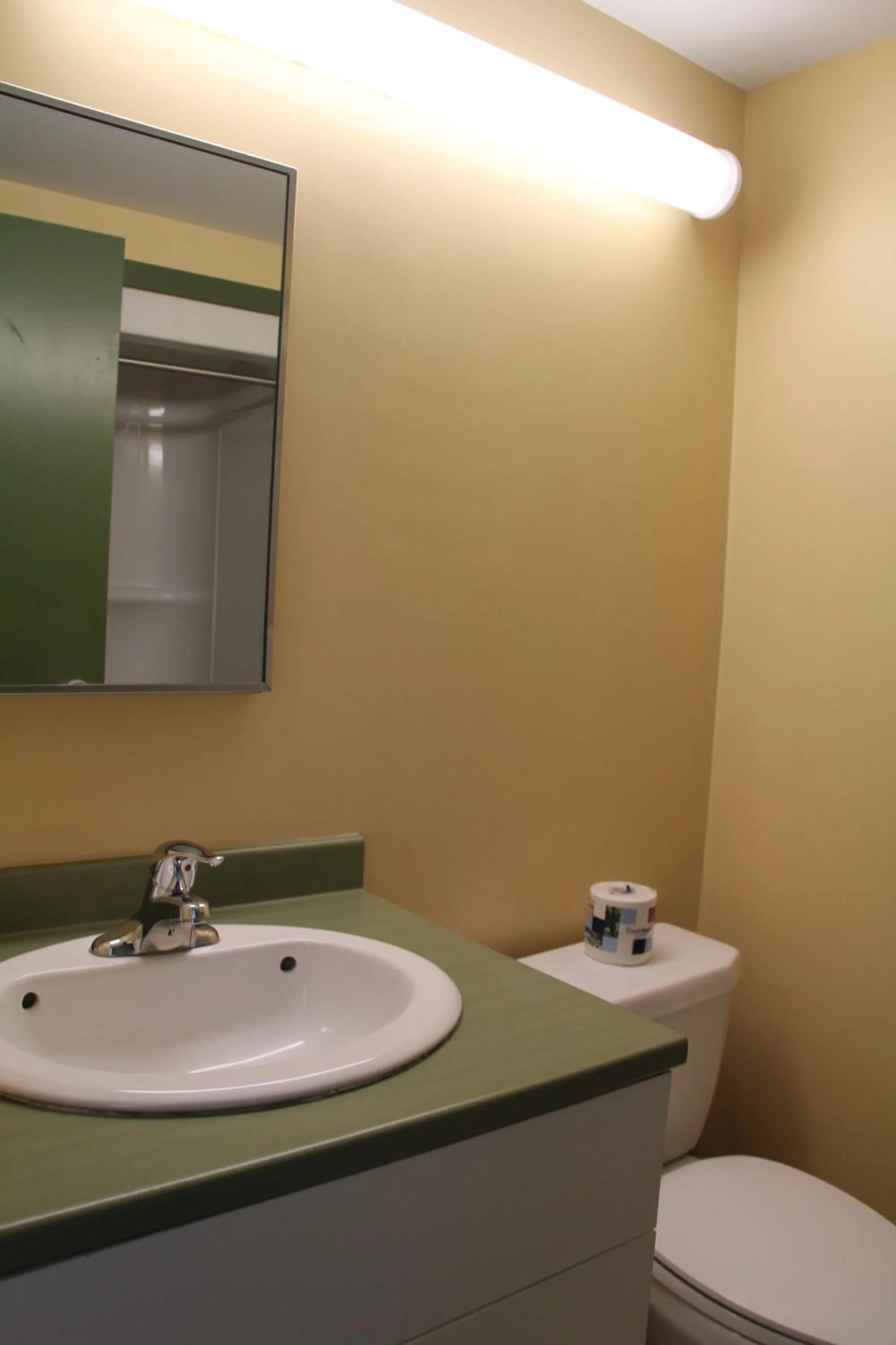 Bathroom in Glendenning Hall at Holland College
