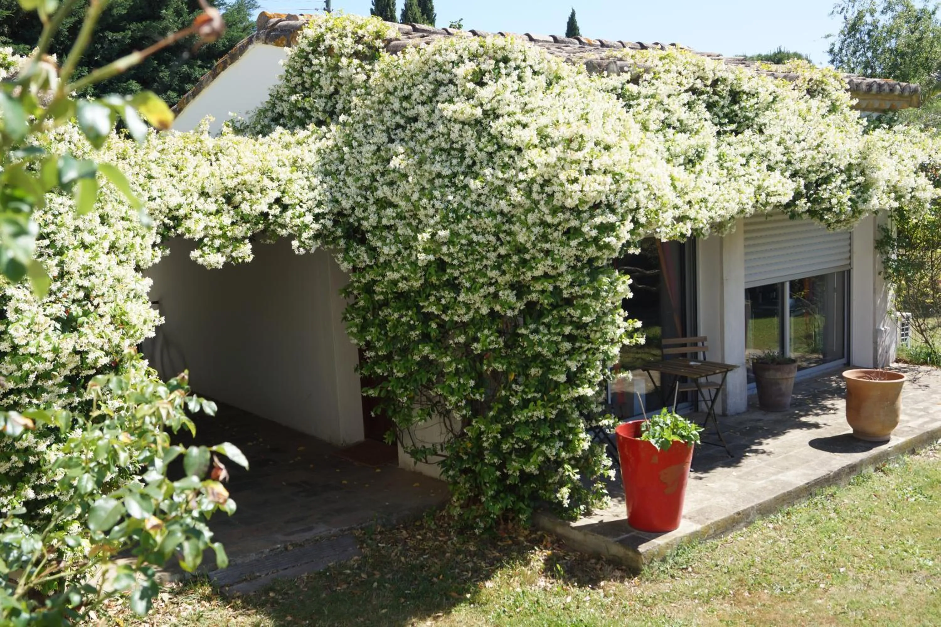 Studio au coeur de la petite camargue