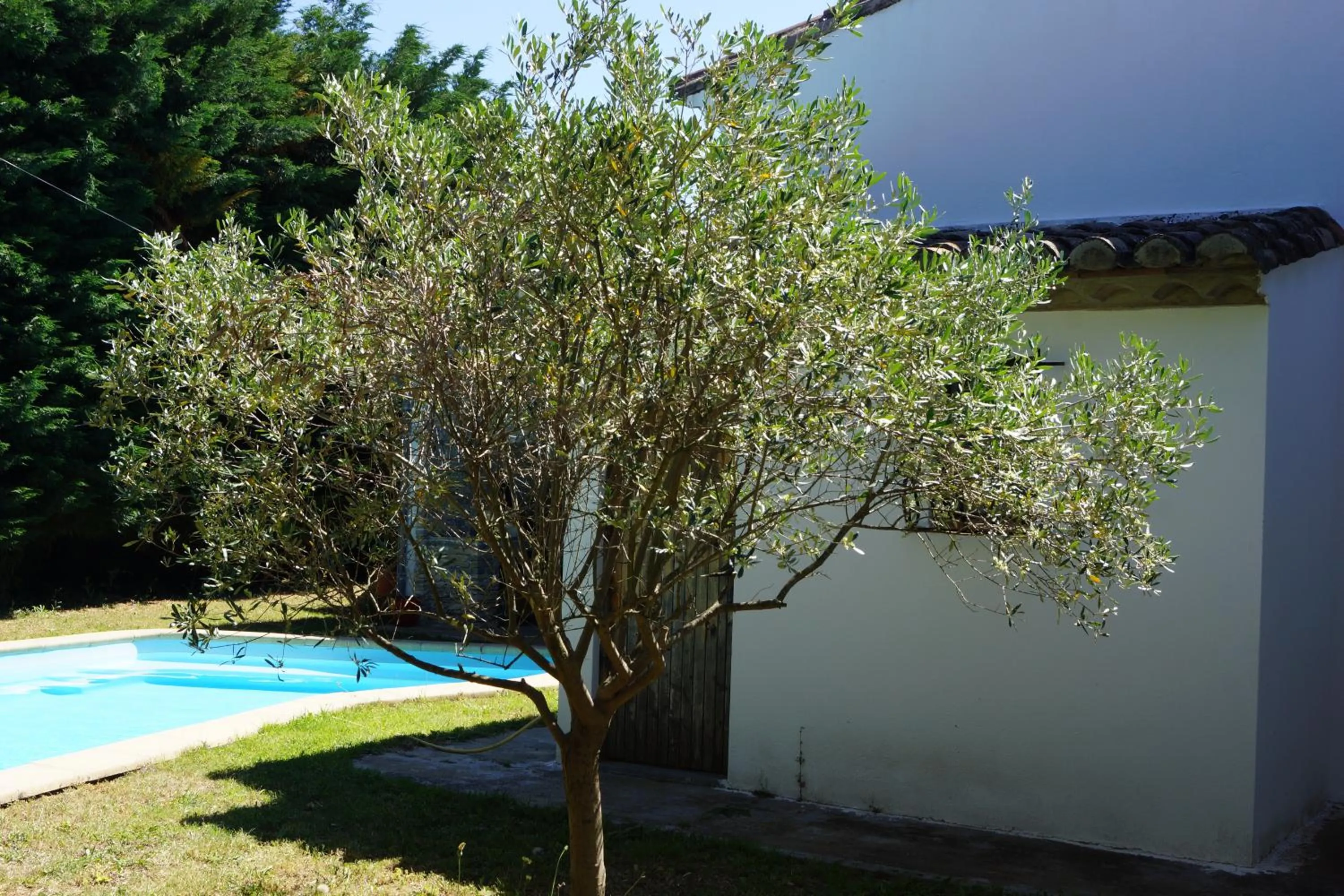 Swimming Pool in Studio au coeur de la petite camargue