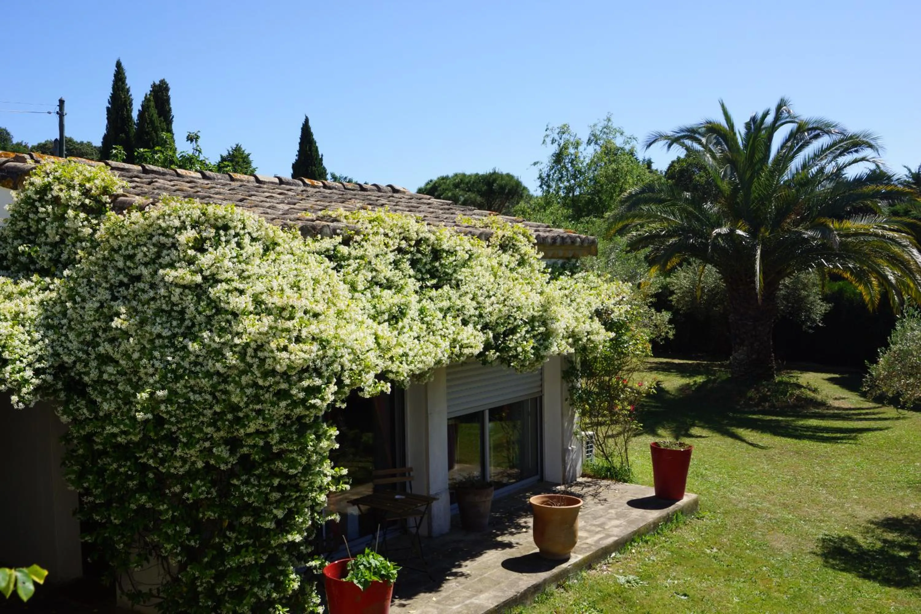 Studio au coeur de la petite camargue