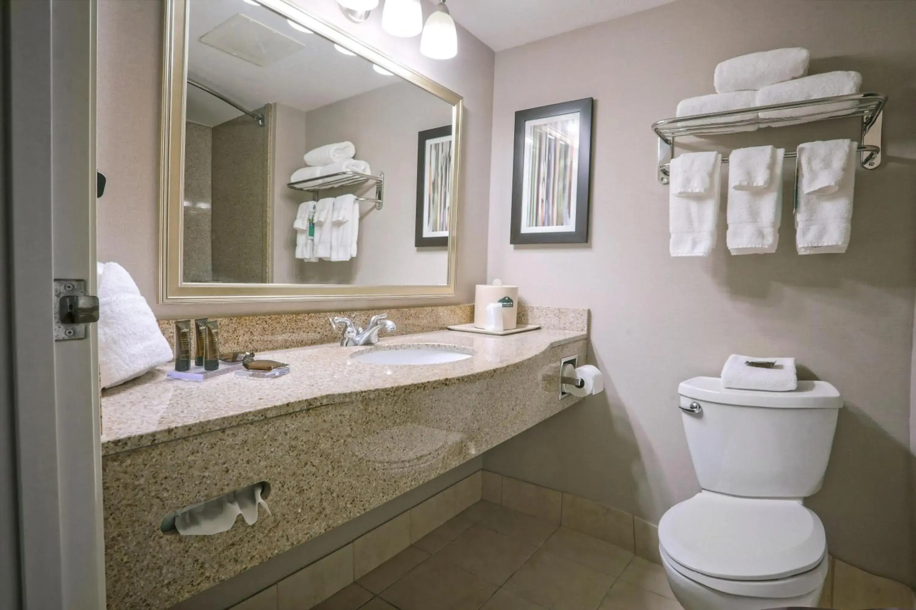 Bathroom in Wingate by Wyndham Savannah Pooler Bathroom in Wingate by Wyndham Savannah Pooler