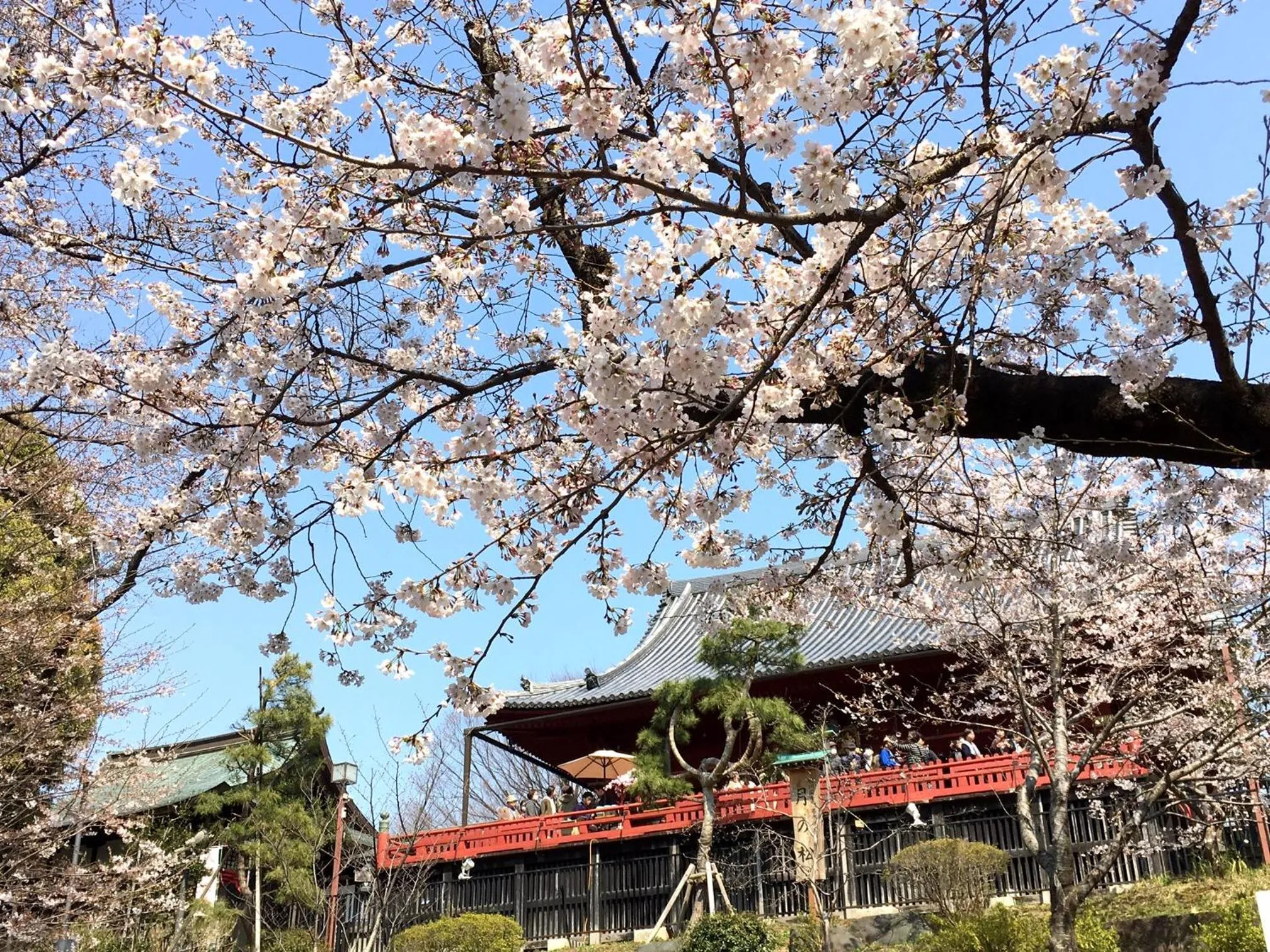 Nearby landmark in HOTEL MYSTAYS Ueno East