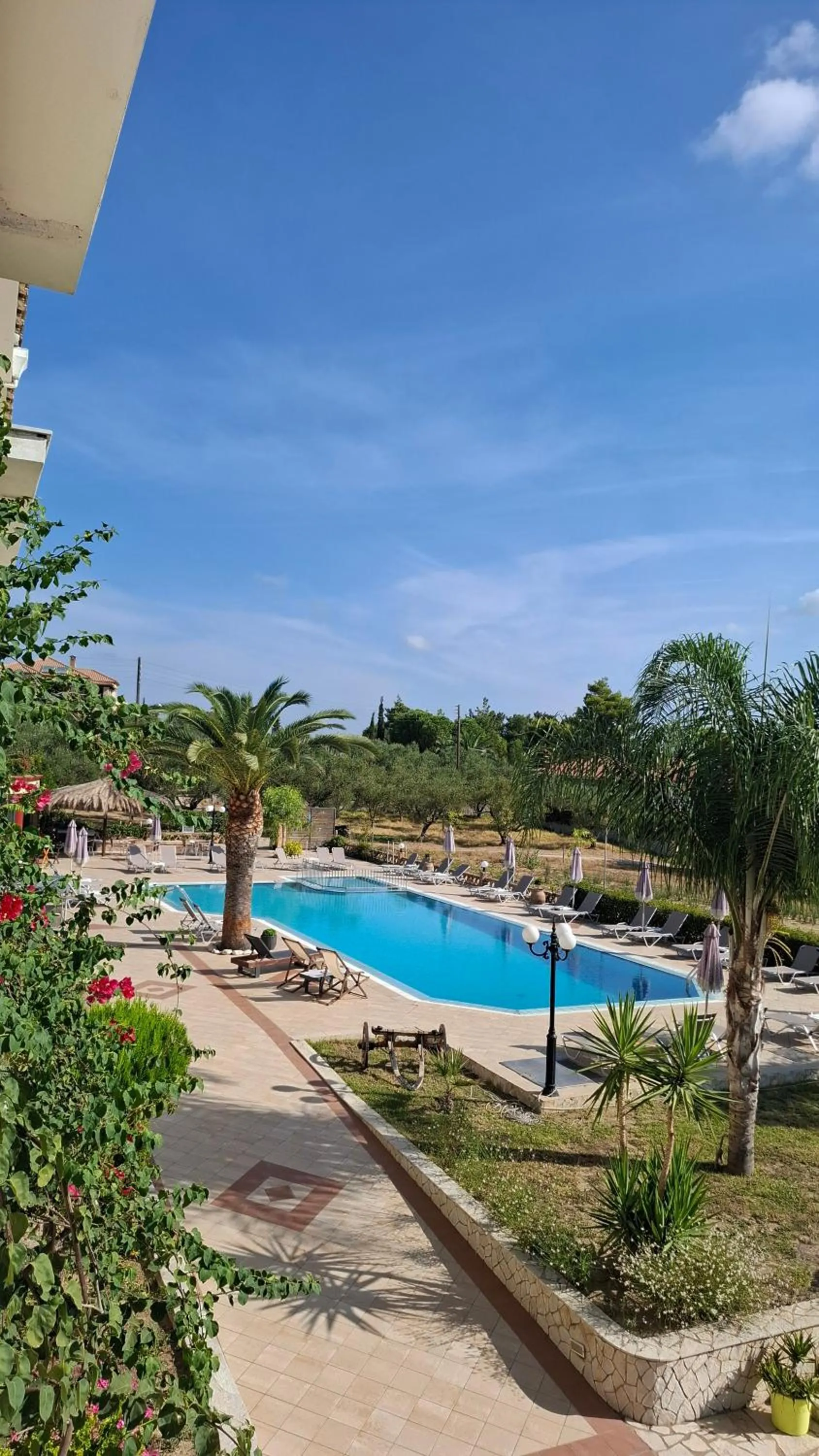 Spring in Sunflower Apartments & Studios