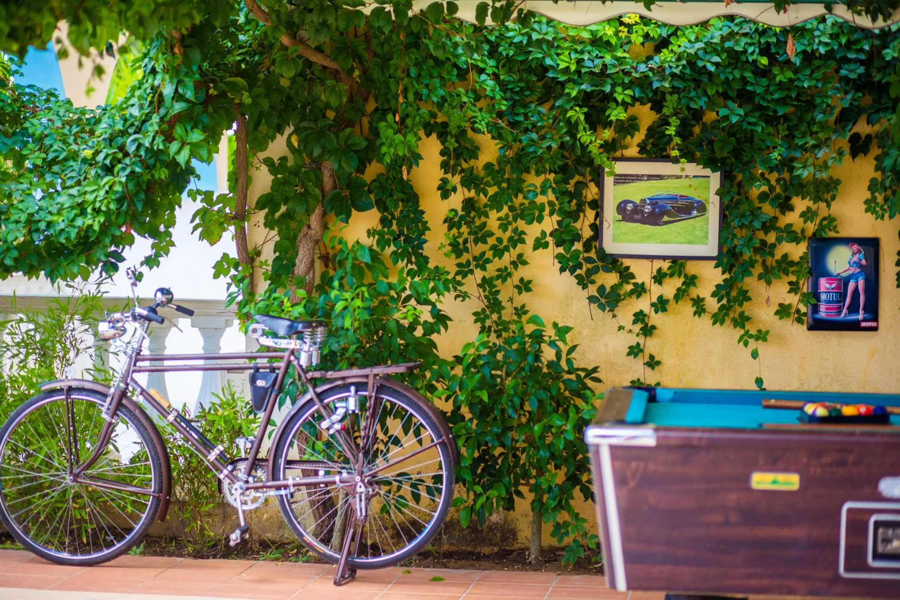 Day in Sunflower Apartments & Studios