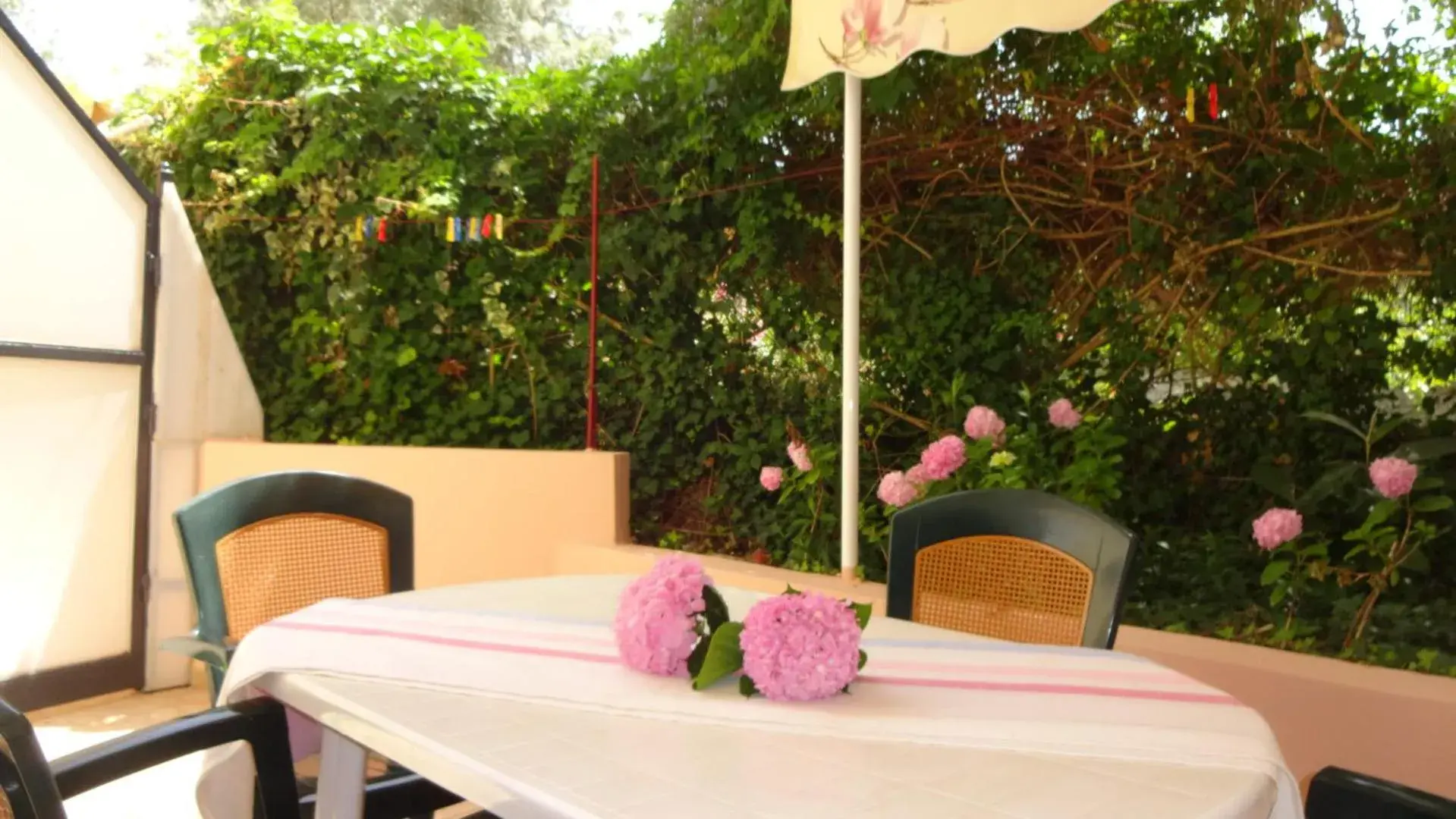 Restaurant/places to eat in Pansion Filoxenia Apartments & Studios Restaurant/places to eat in Pansion Filoxenia Apartments & Studios