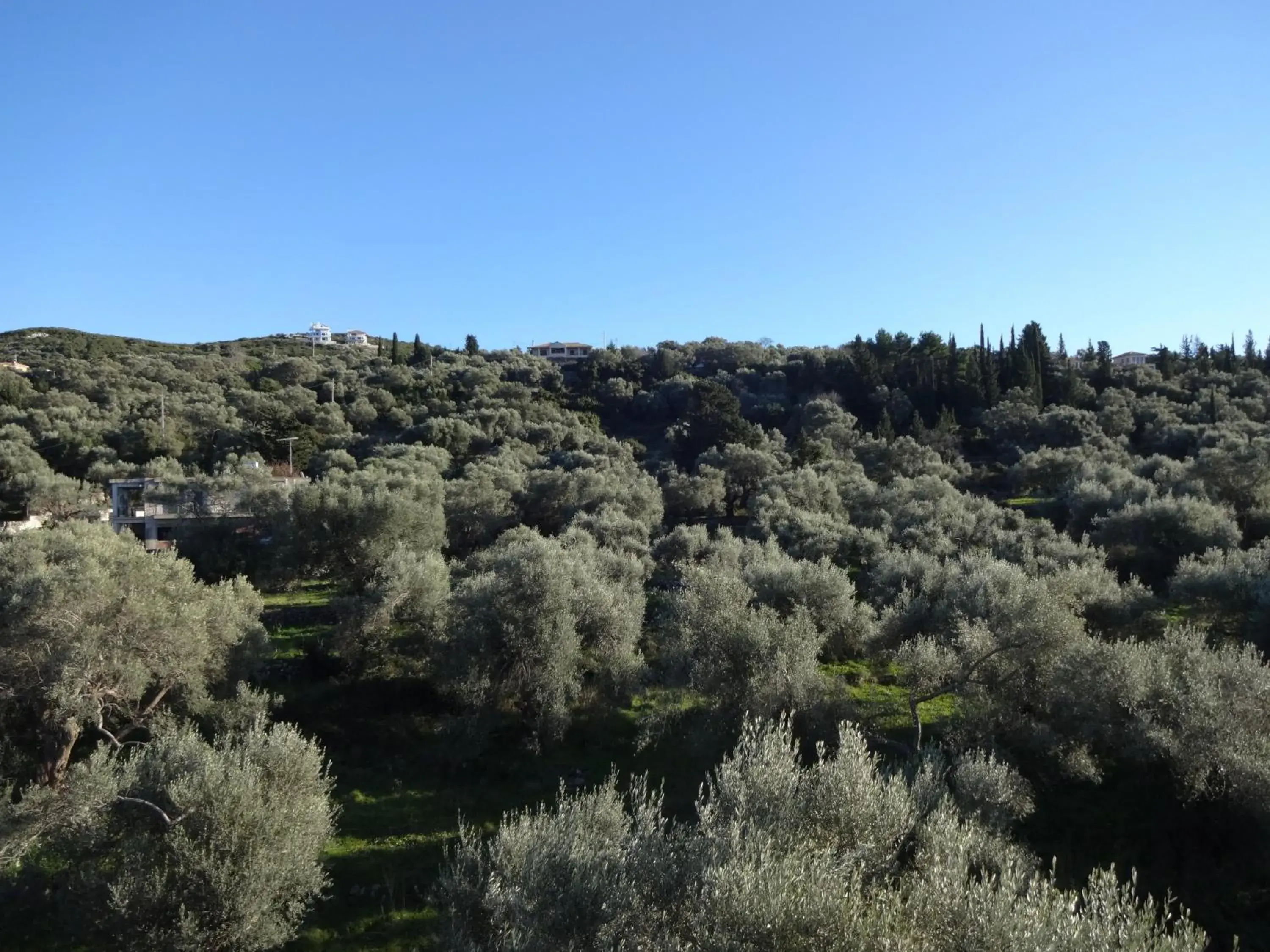 View (from property/room) in Pansion Filoxenia Apartments & Studios View (from property/room) in Pansion Filoxenia Apartments & Studios