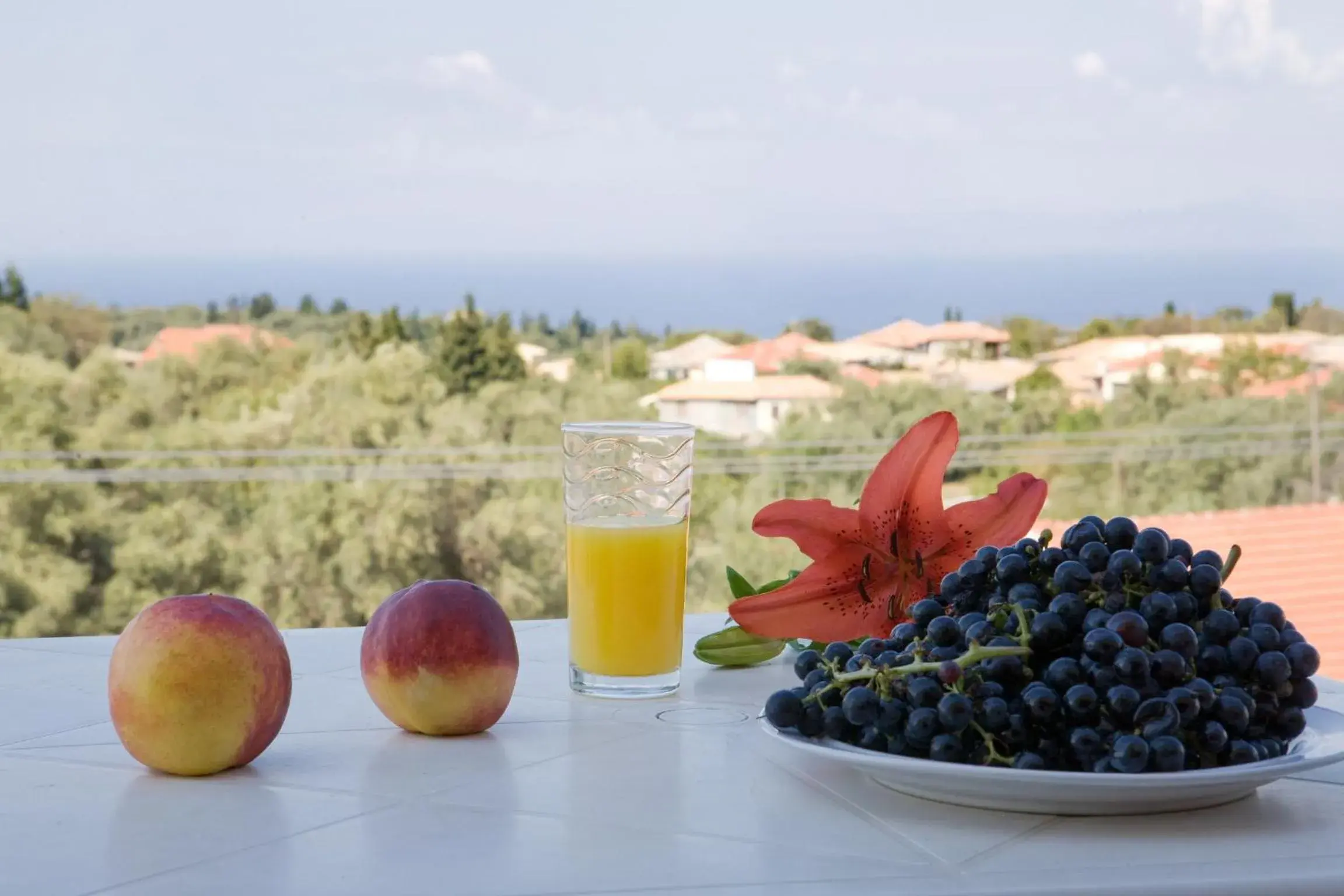 View (from property/room) in Pansion Filoxenia Apartments & Studios View (from property/room) in Pansion Filoxenia Apartments & Studios