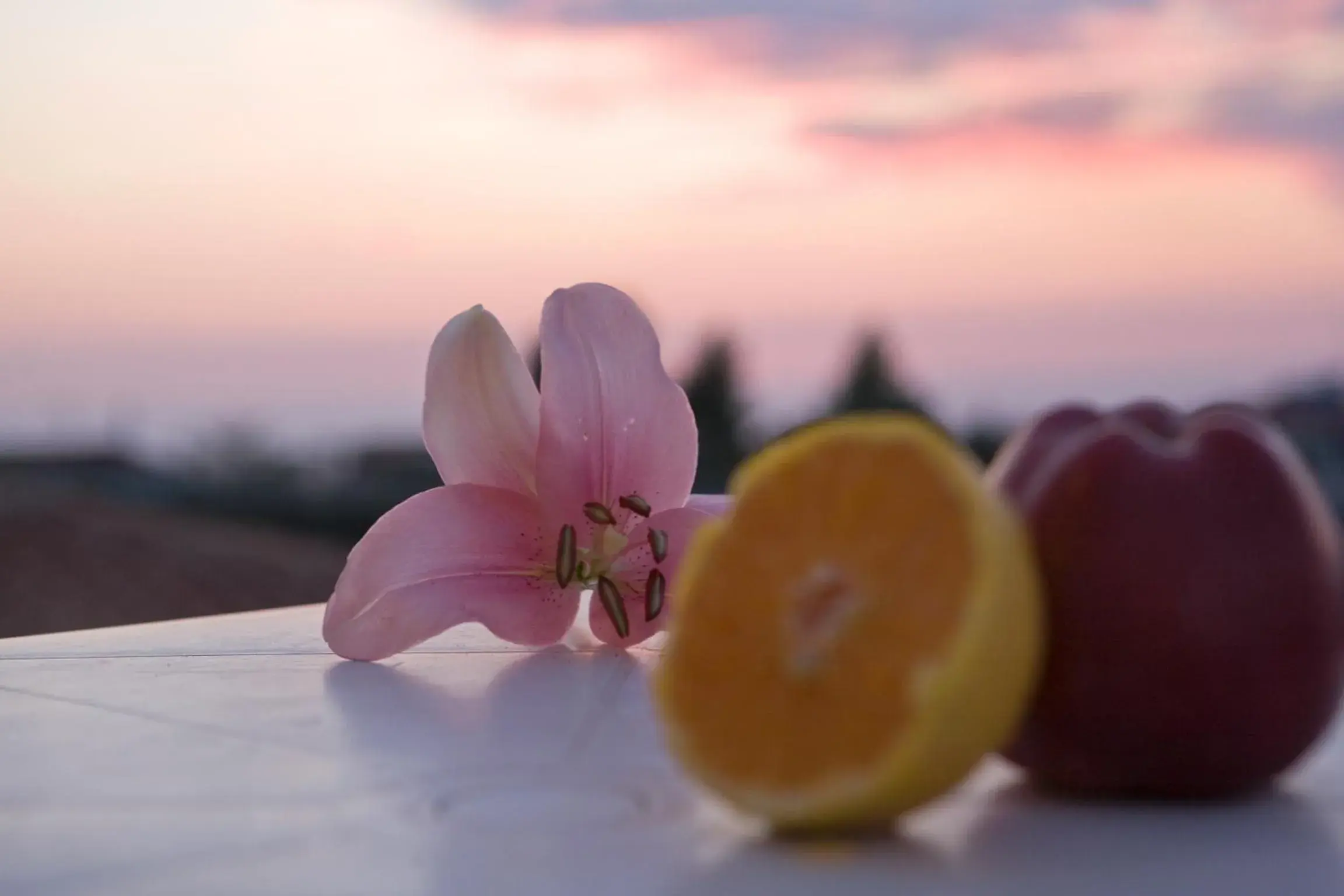 View (from property/room) in Pansion Filoxenia Apartments & Studios View (from property/room) in Pansion Filoxenia Apartments & Studios
