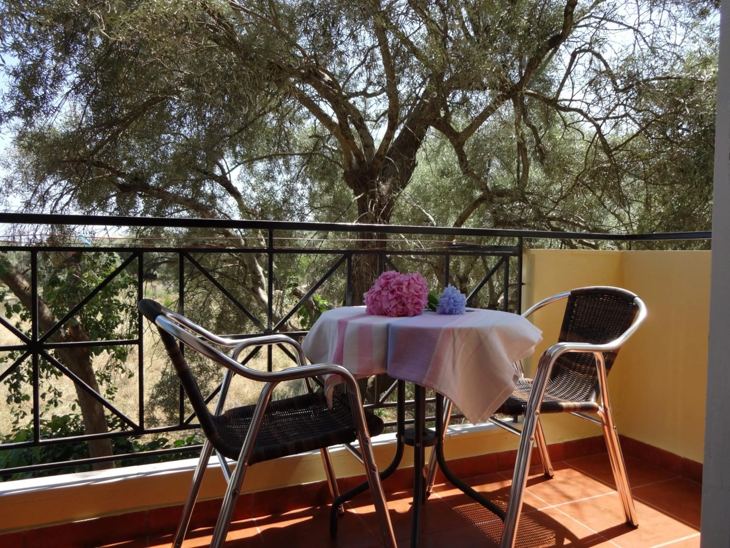 Balcony/Terrace in Pansion Filoxenia Apartments & Studios