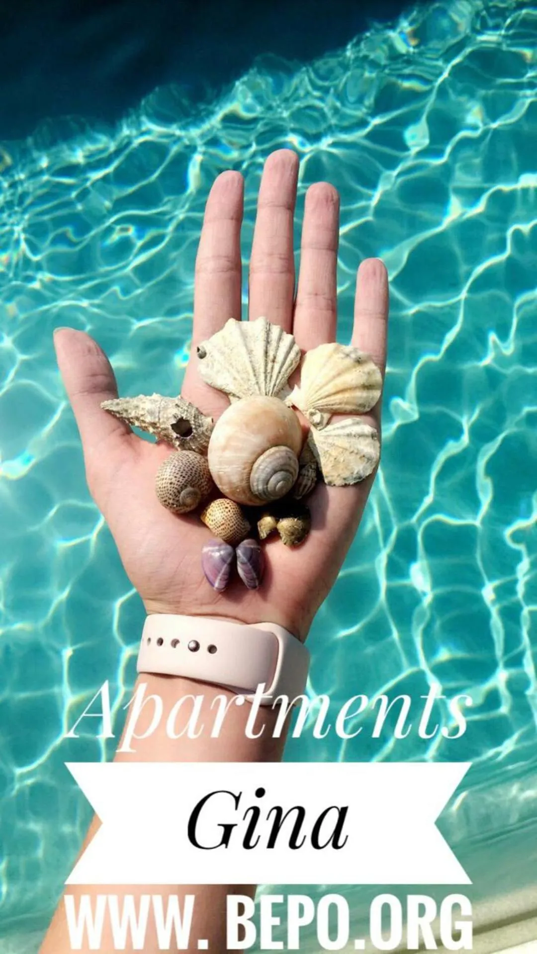 Swimming pool in Apartments Gina