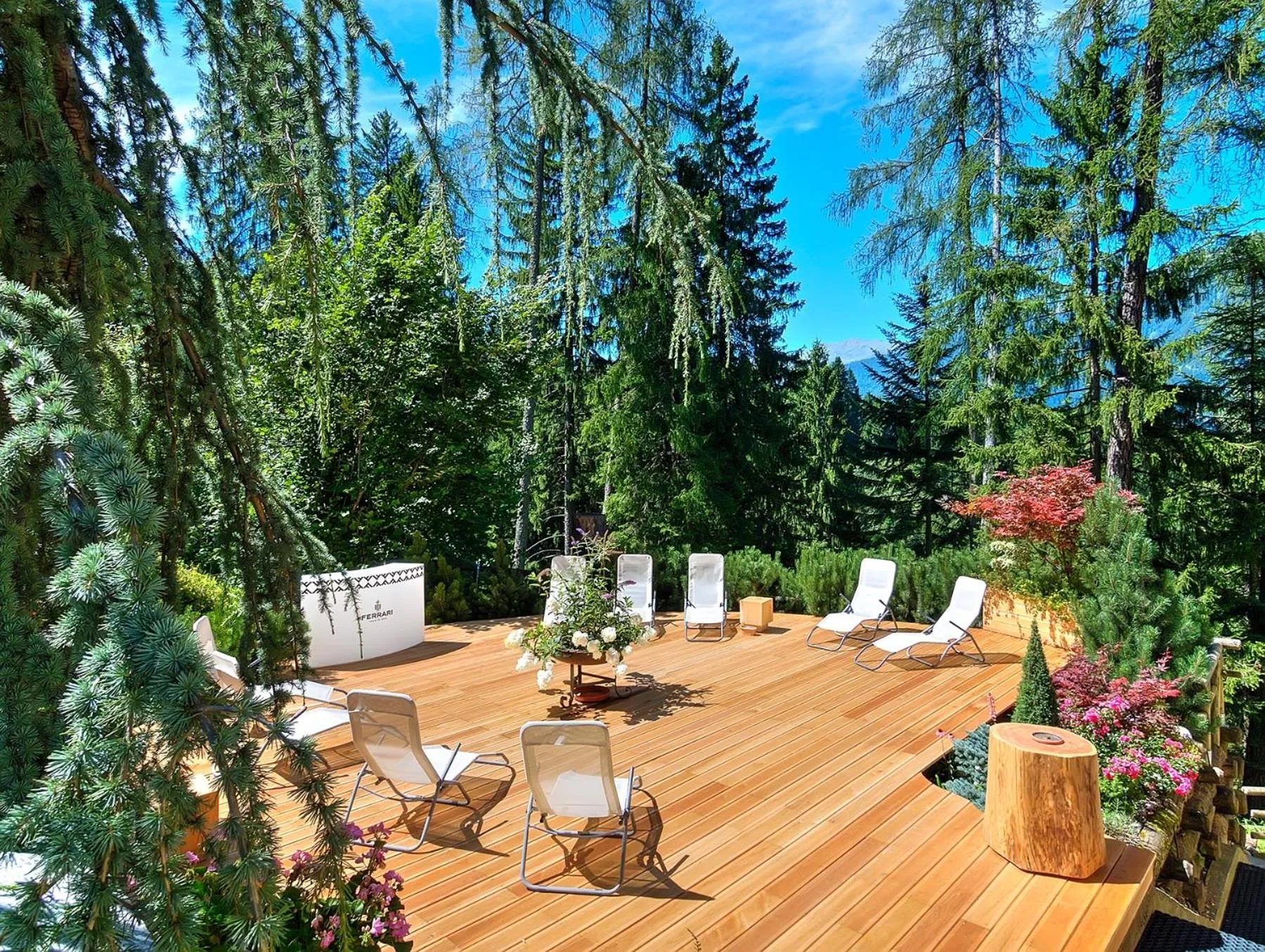 Garden in Hotel Caminetto