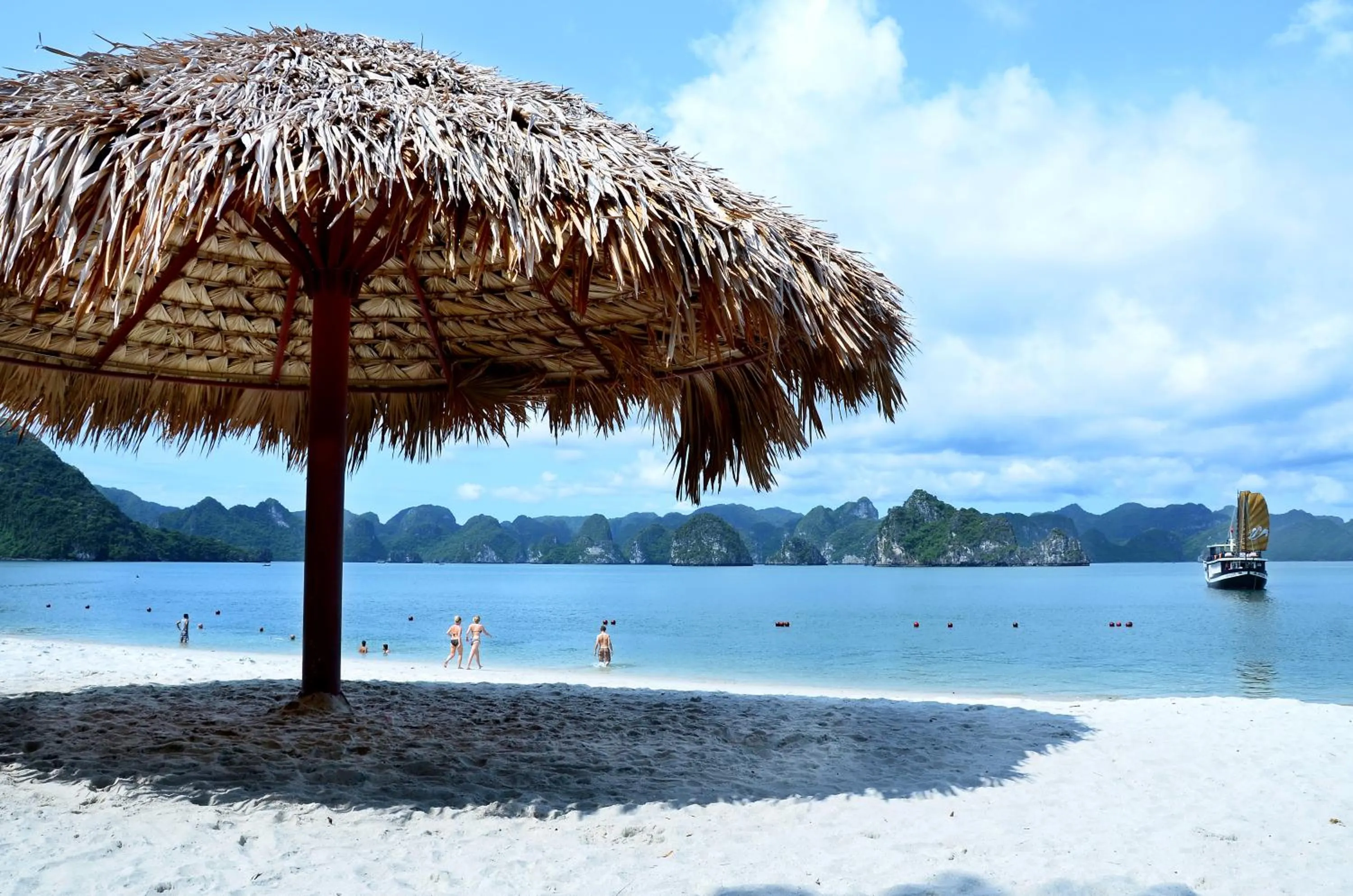 Activities in Paradise Peak Cruise