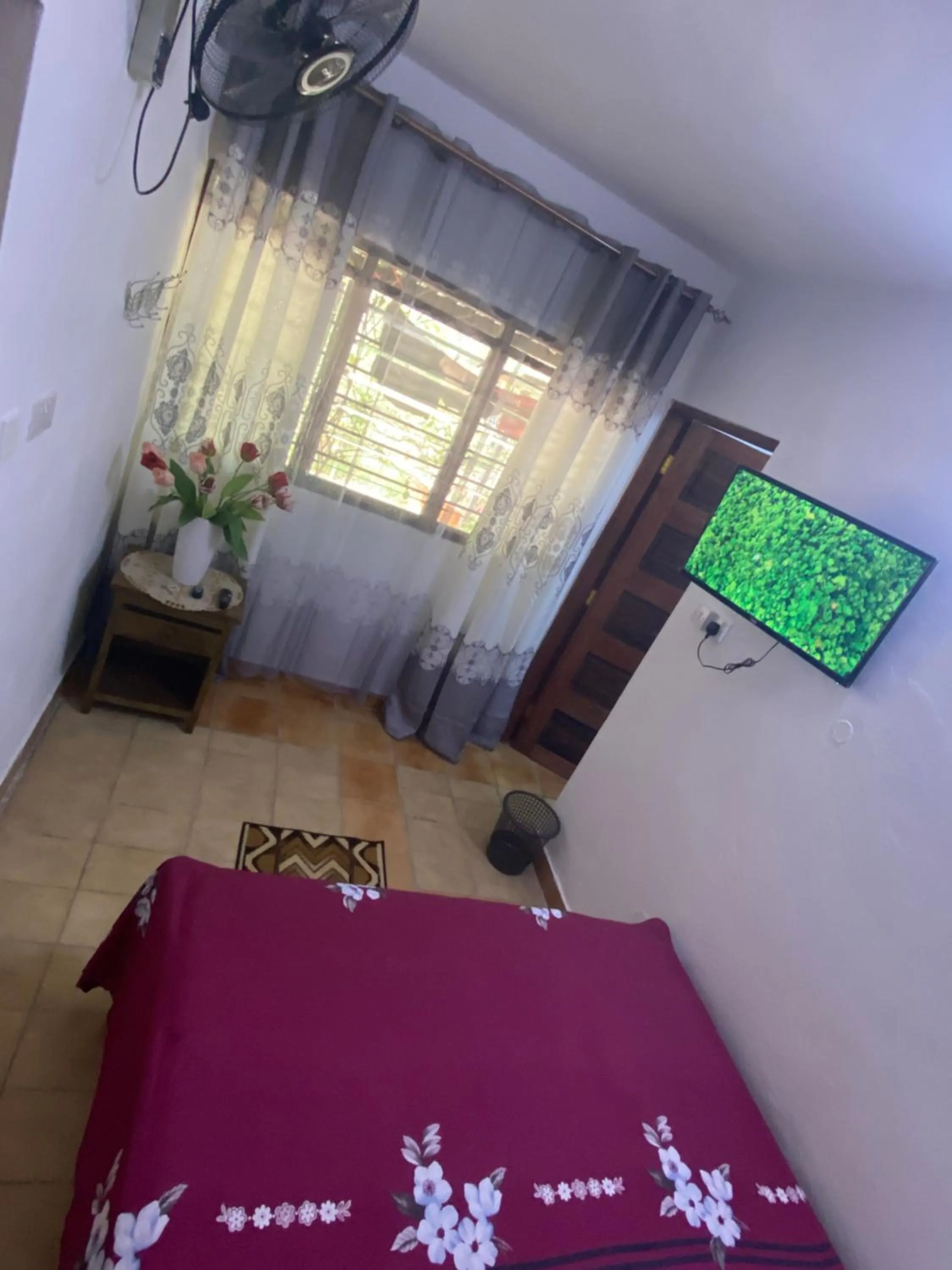 Bed in Tradewinds Lodge