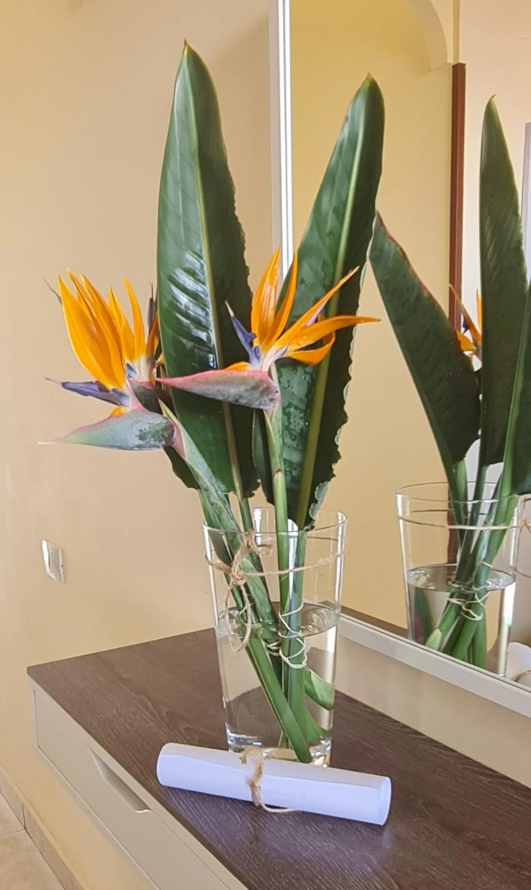 Decorative detail in Apartamentos Strelitzias