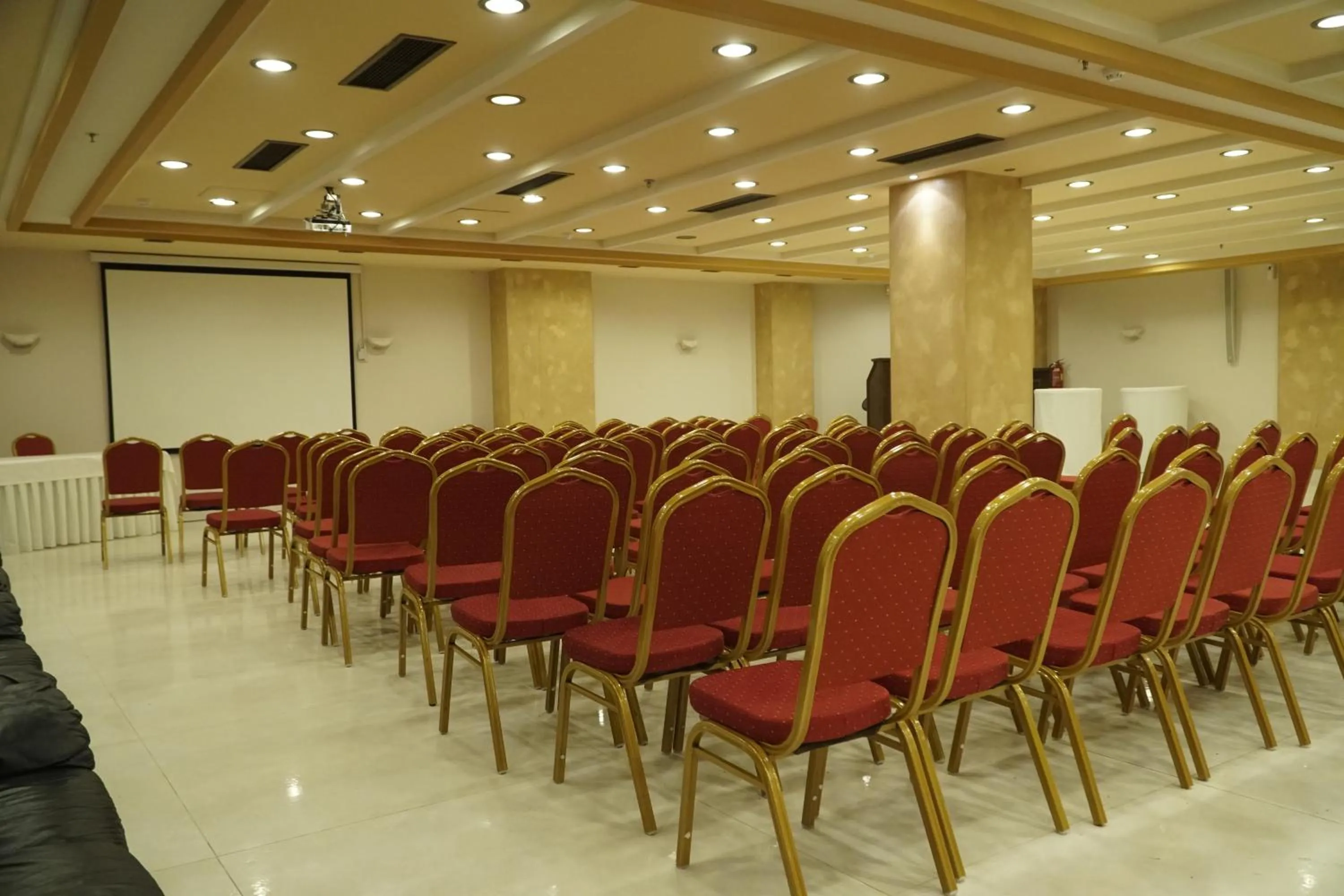 Meeting/conference room in Cactus Royal Spa & Resort Adults Only