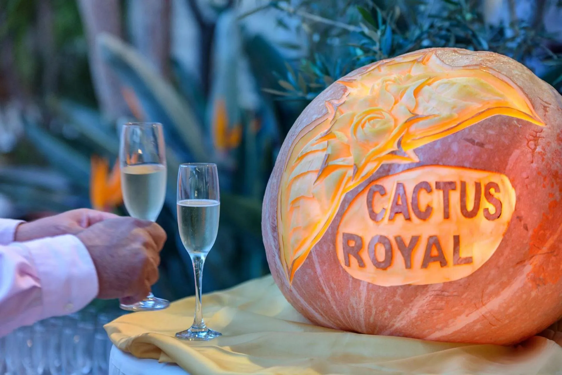 Food close-up in Cactus Royal Spa & Resort Adults Only