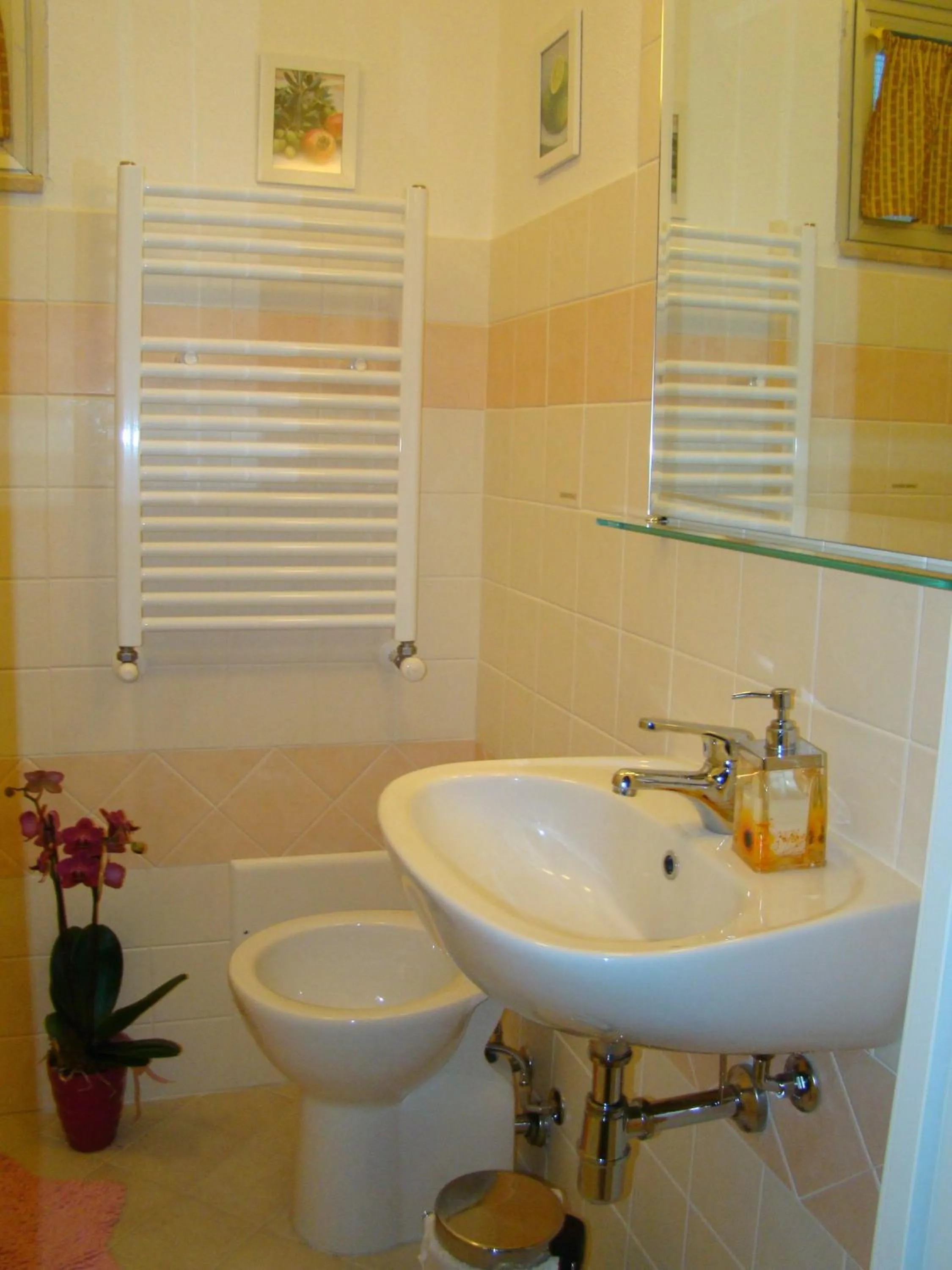 Bathroom in Sa Chessa B&B