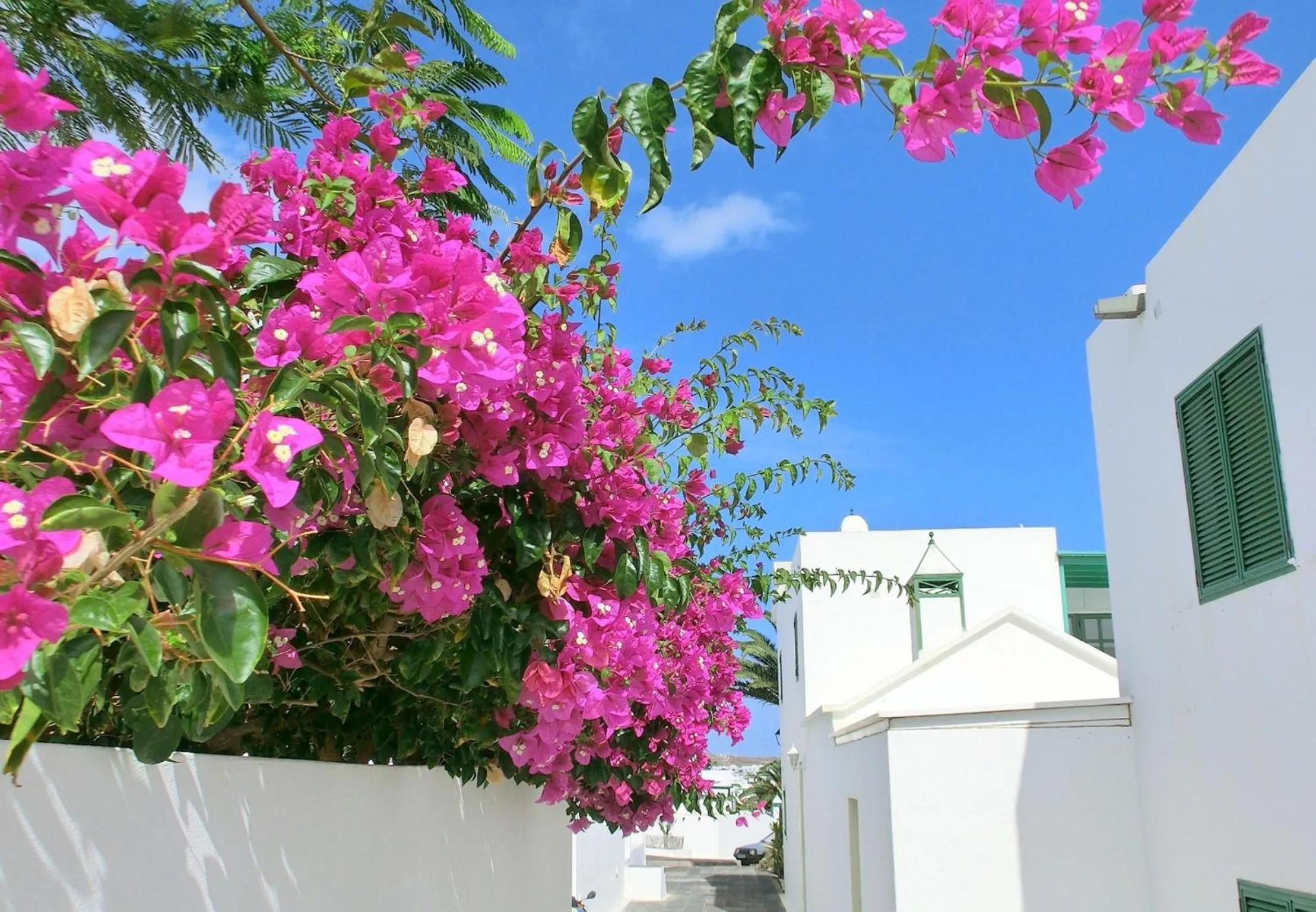Nearby landmark in Villas Puerto Rubicon