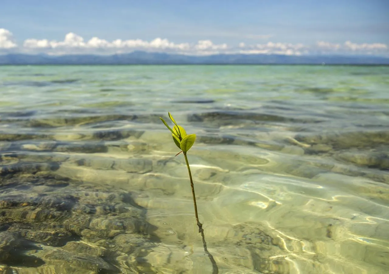 Property building in Les Maisons D'Itac