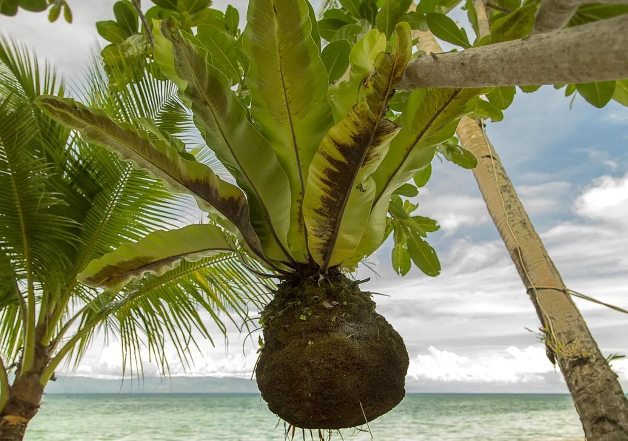 Property building in Les Maisons D'Itac