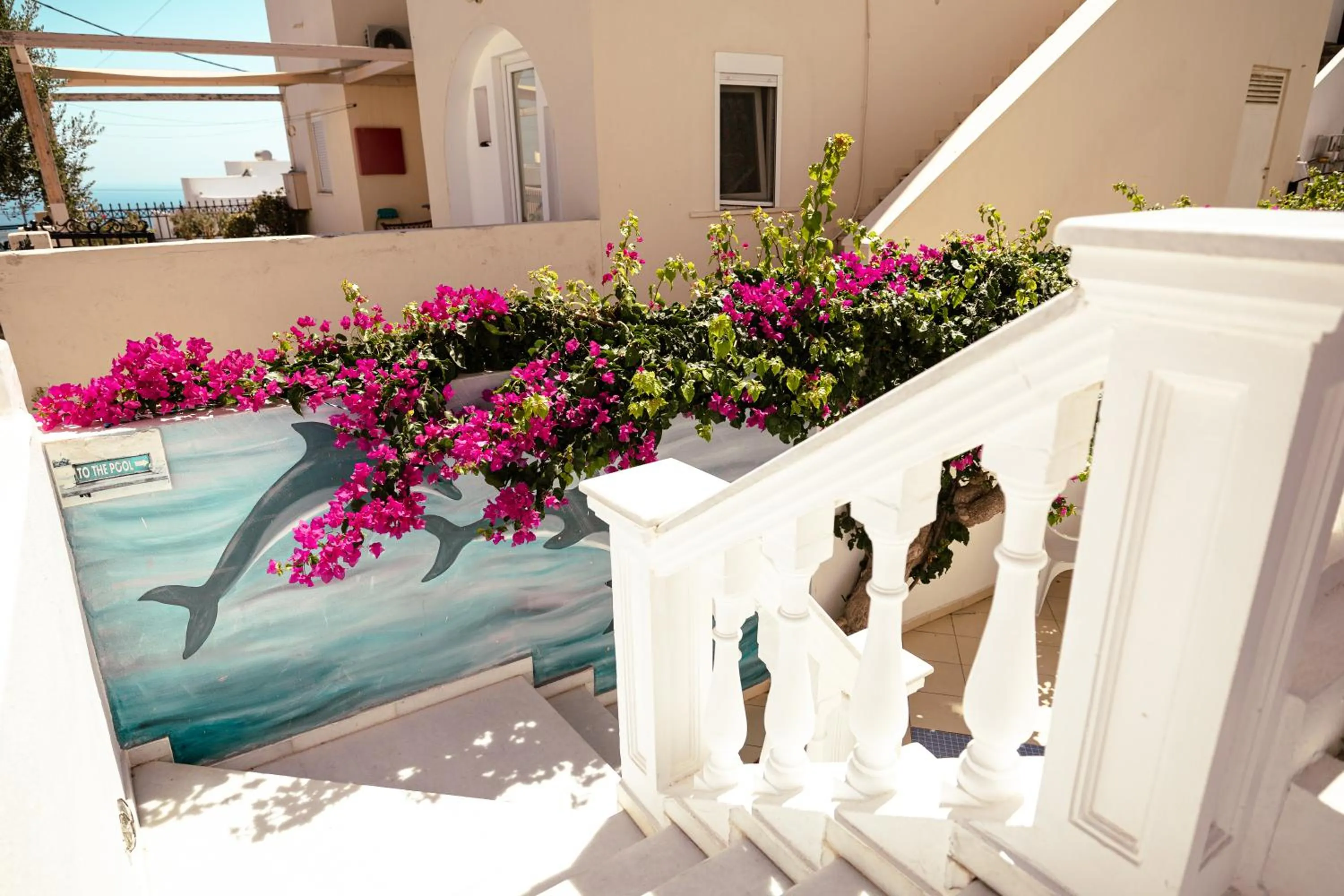 Garden in Pension Ptolemeos