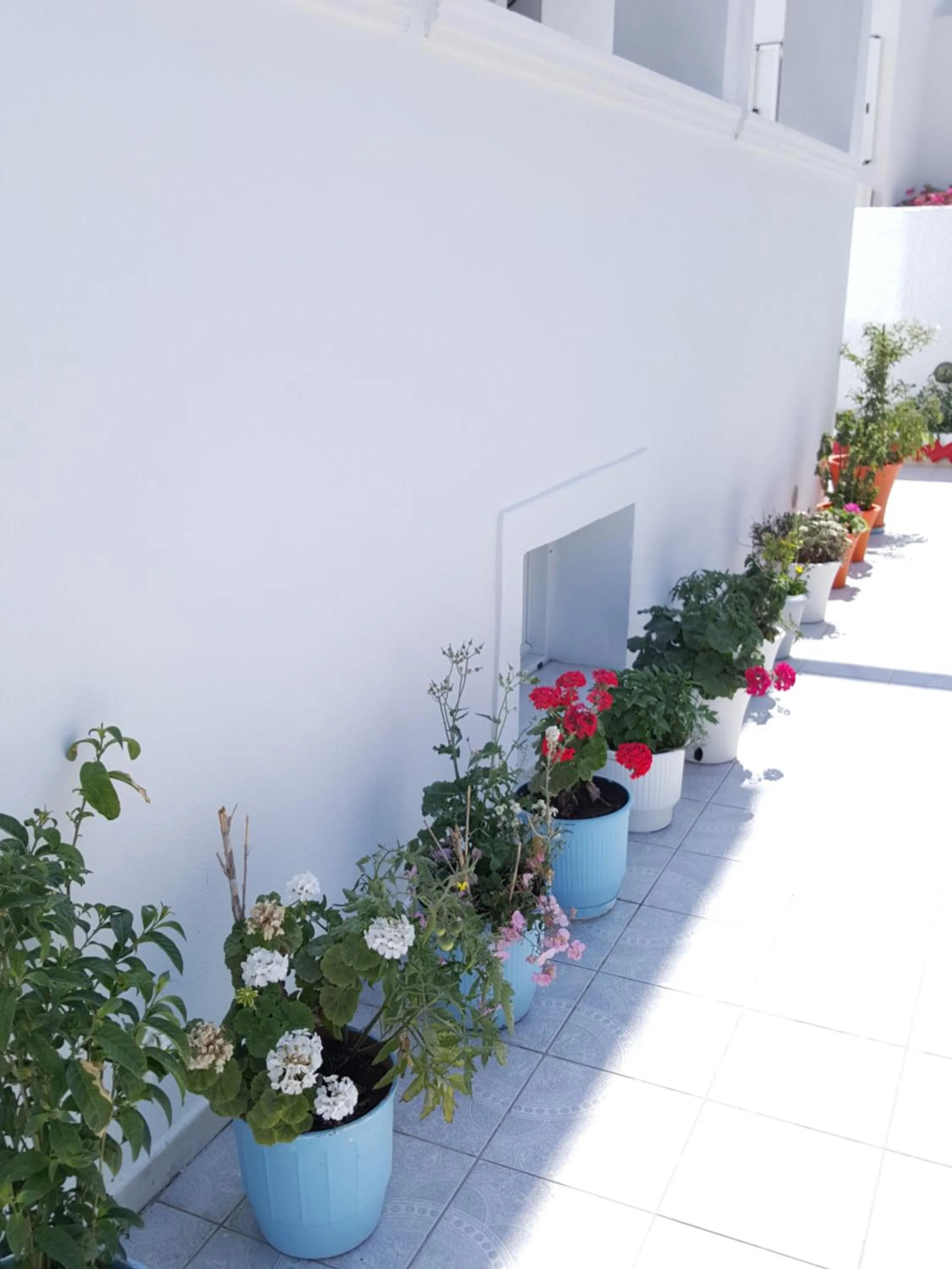 Patio in Pension Ptolemeos